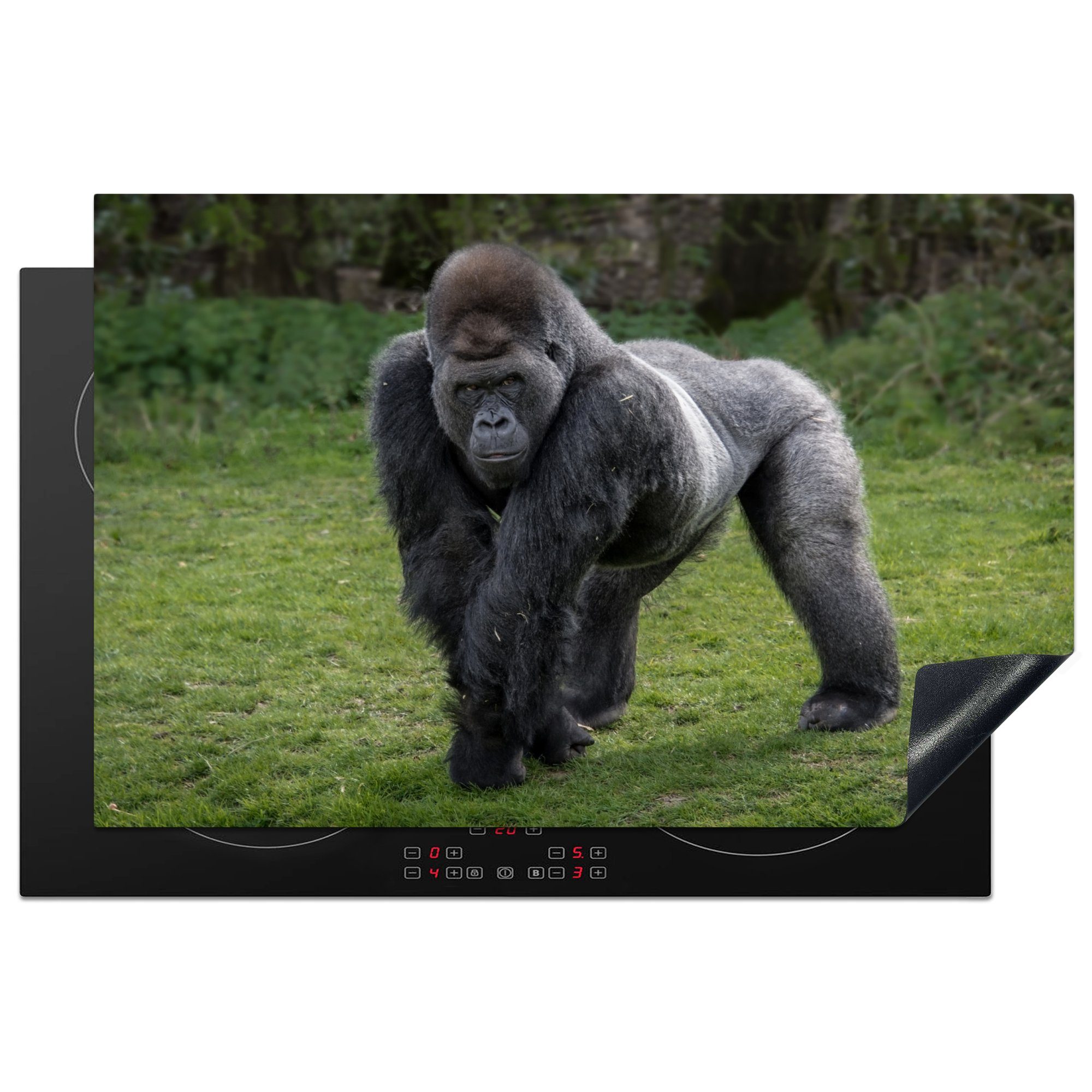 MuchoWow Herdblende-/Abdeckplatte Ein Gorilla geht auf Händen und Beinen, Vinyl, (1 tlg), 81x52 cm, Induktionskochfeld Schutz für die küche, Ceranfeldabdeckung
