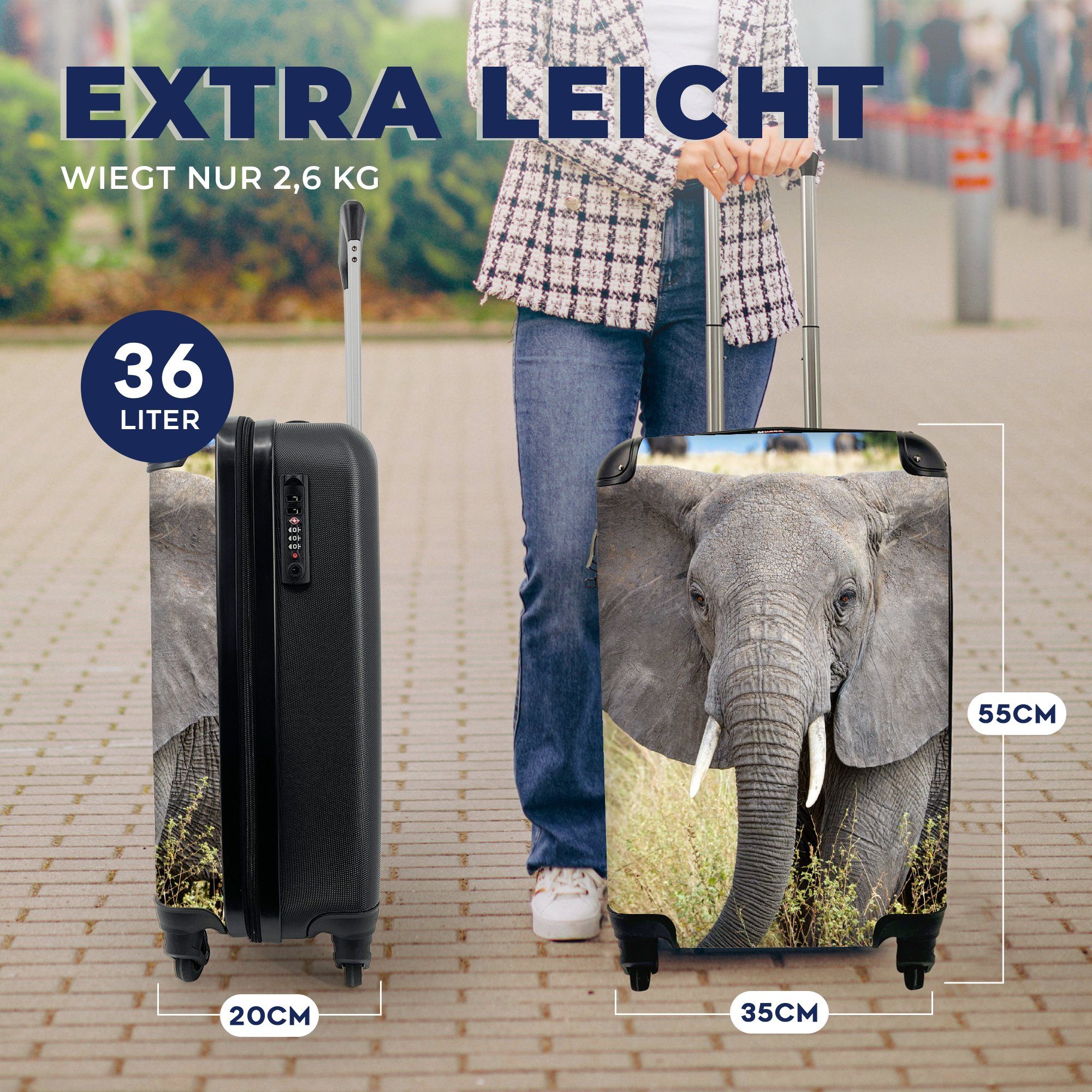 Reisekoffer Reisetasche Rollen, Gras Elefant Tiere 4 MuchoWow Handgepäckkoffer - Ferien, für Handgepäck - - Natur, Trolley, mit rollen,