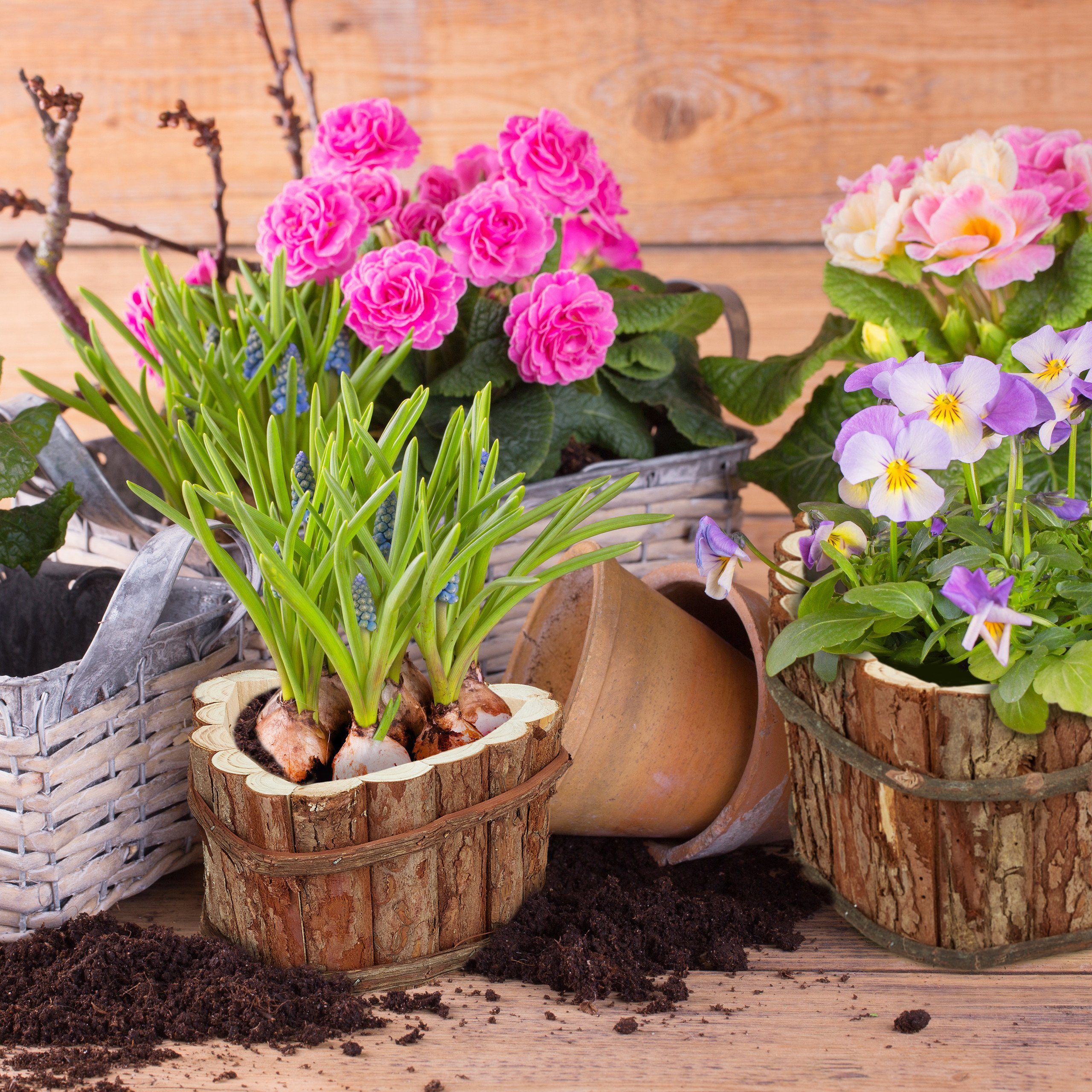 relaxdays Blumenkasten aus Holz im 3er günstig online kaufen