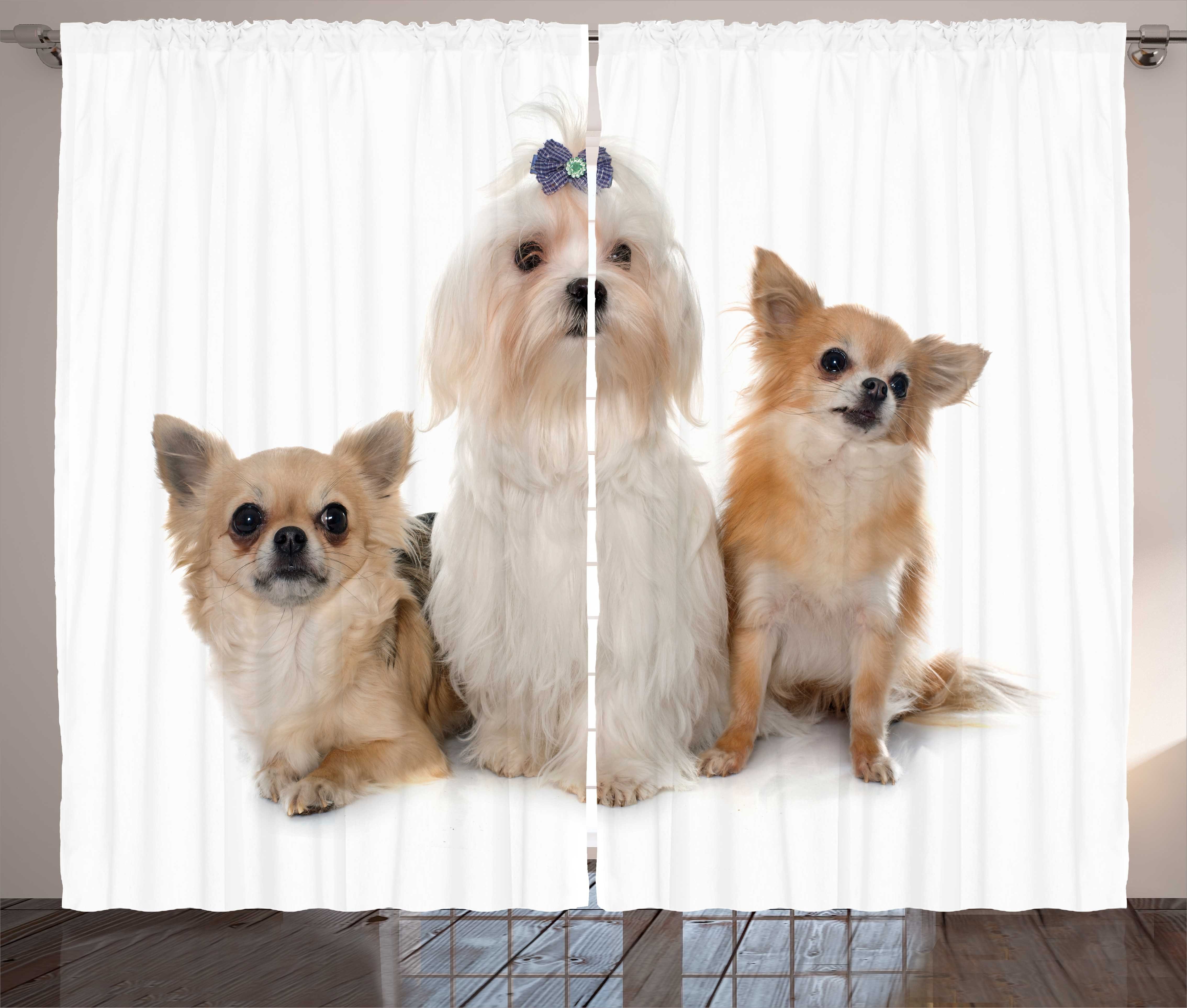Gardine Schlafzimmer Kräuselband Vorhang mit Schlaufen und Haken, Abakuhaus, Hündchen Chihuahua und Maltesisch Hunde