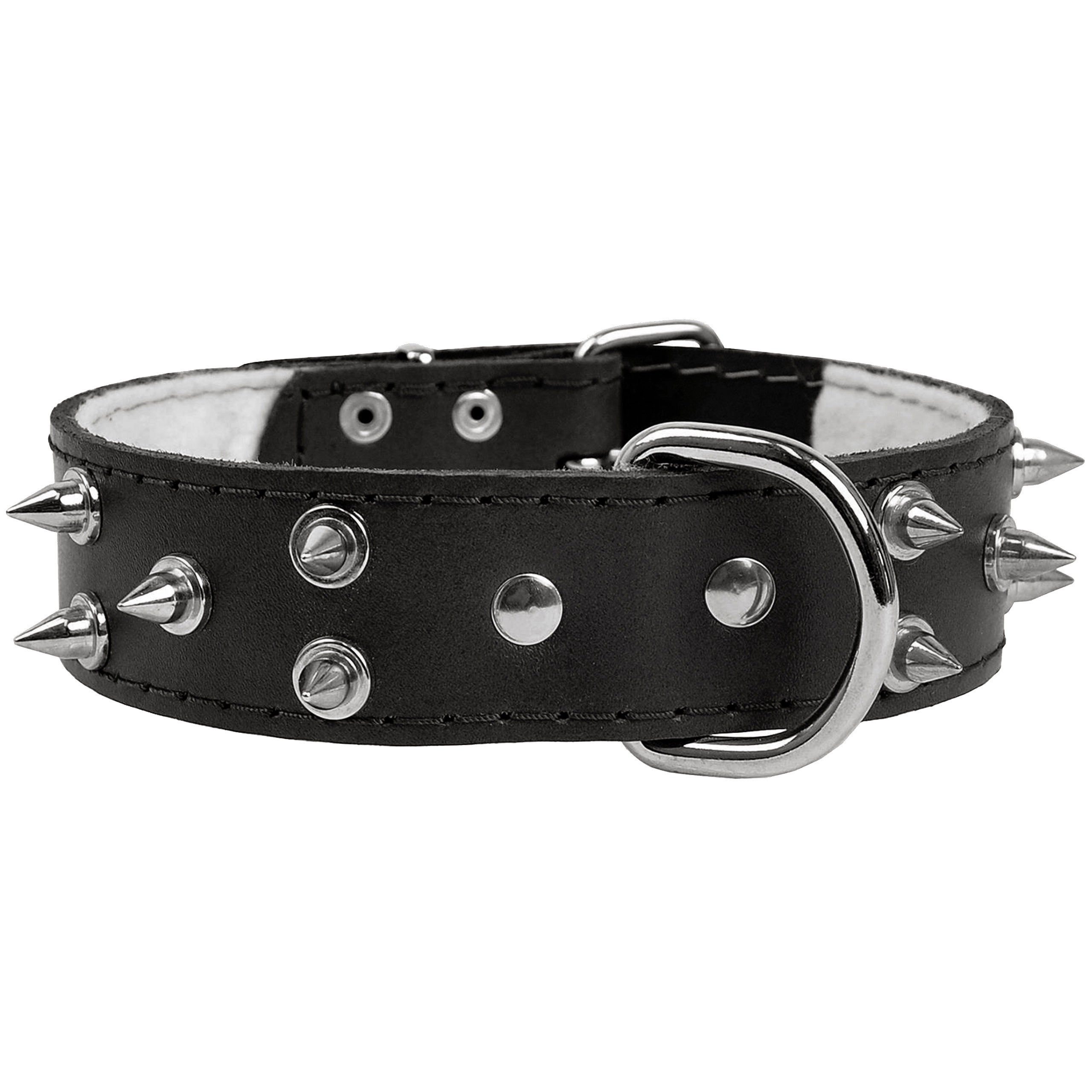 Thumbnail - Sarcia.eu Hunde-Halsband Schwarzes Hundehalsband aus Leder mit Nieten 40mm/67cm