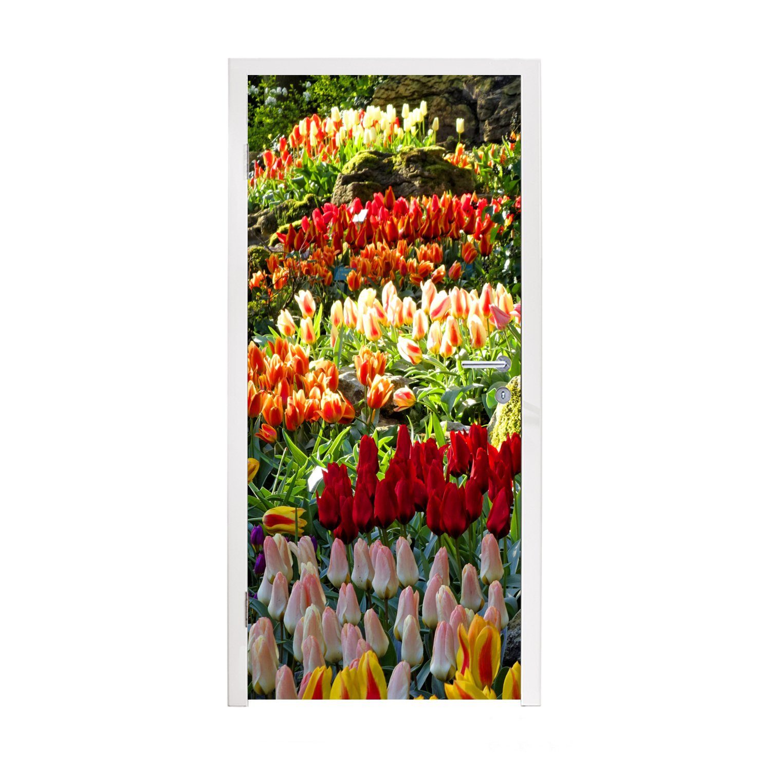 MuchoWow Türtapete Bunte Tulpen auf dem Keukenhof in den Niederlanden, Matt, bedruckt, (1 St), Fototapete für Tür, Türaufkleber, 75x205 cm
