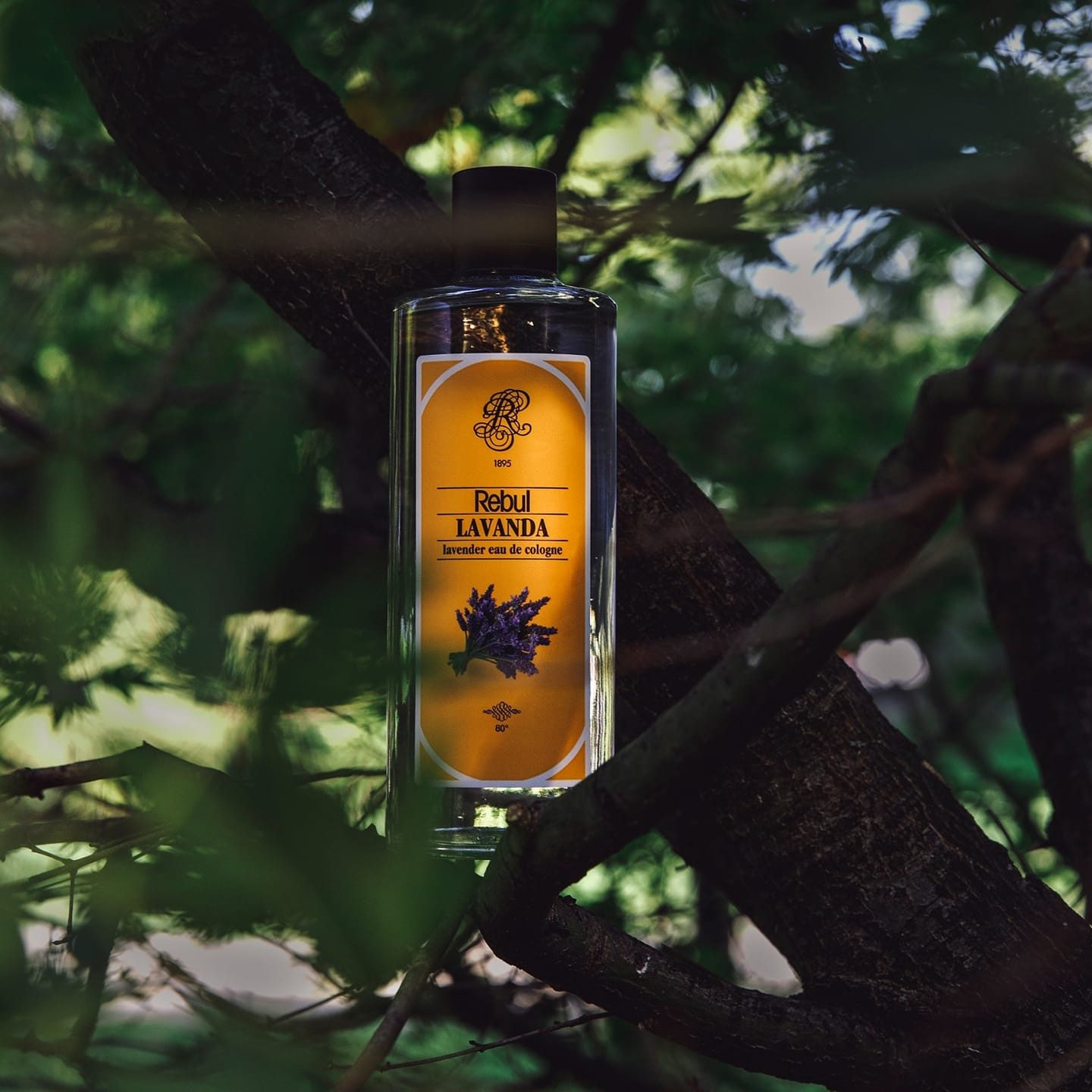 Rebul Kozmetik Eau de Cologne Eau De Cologne Kölnisch Wasser 270ml LAVANDA