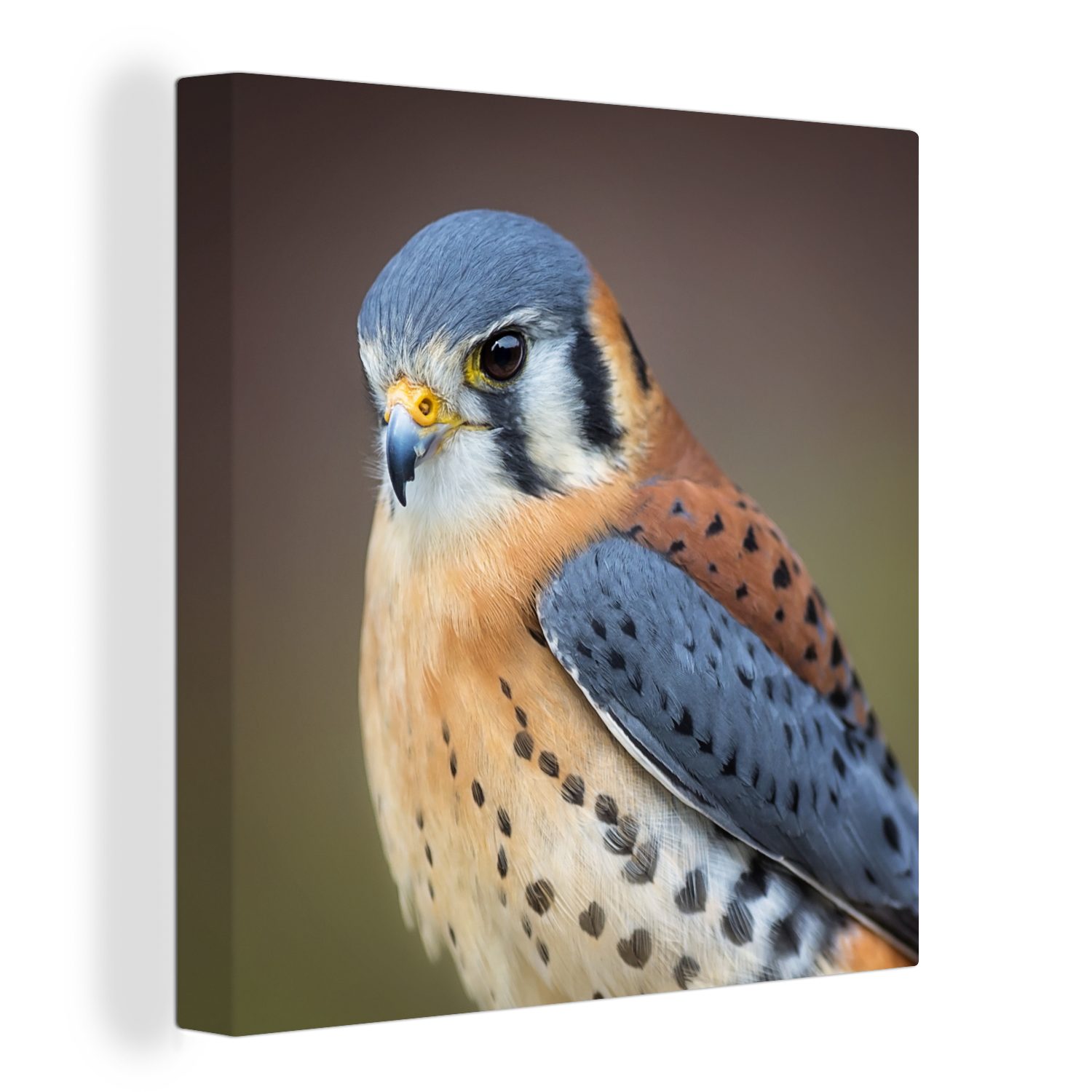 OneMillionCanvasses® Leinwandbild Vogel - Makro - Blau, (1 St), Leinwand Bilder für Wohnzimmer Schlafzimmer bunt