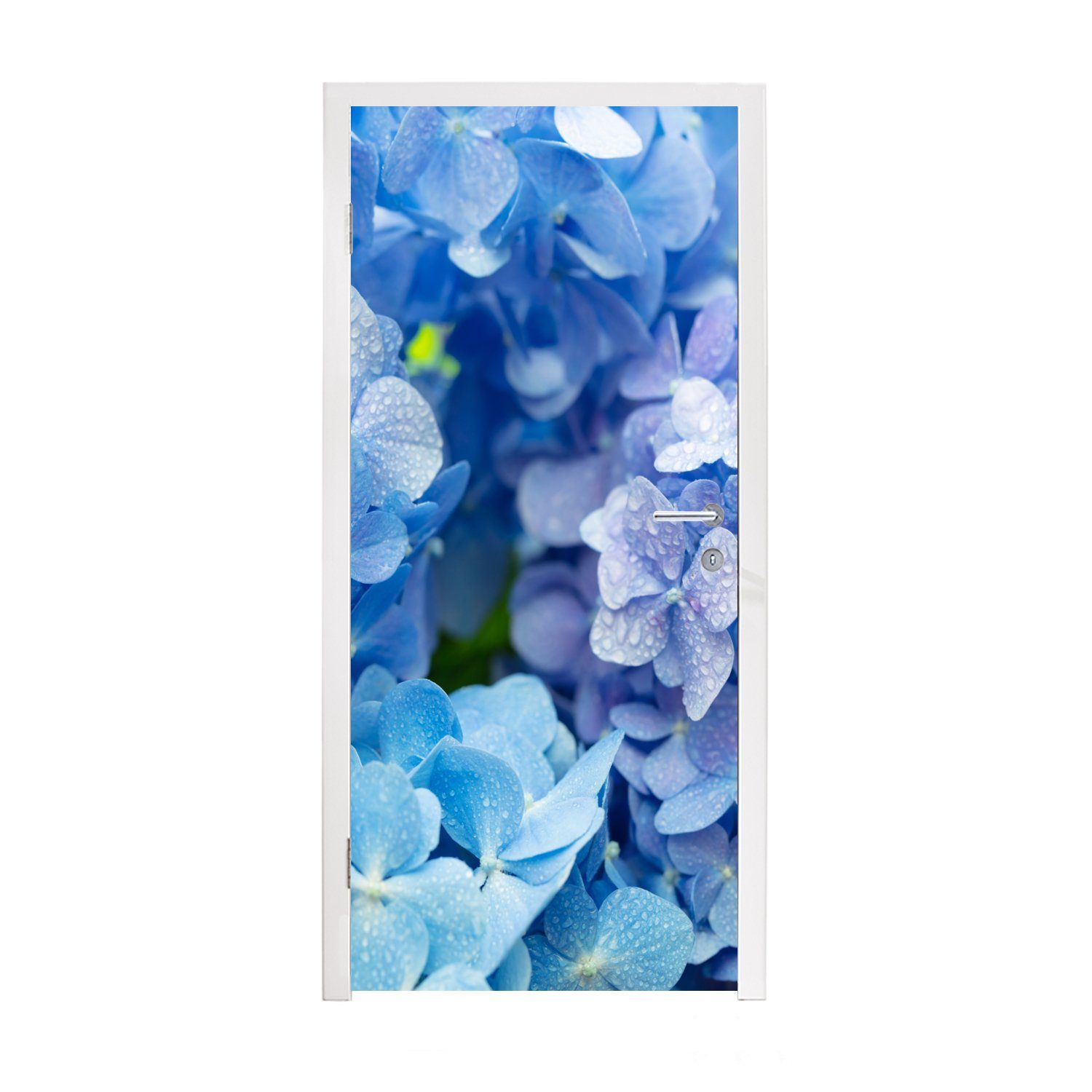 MuchoWow Türtapete Hortensie - Wassertropfen - Floral - Botanisch - Blau, Matt, bedruckt, (1 St), Fototapete für Tür, Türaufkleber, 75x205 cm