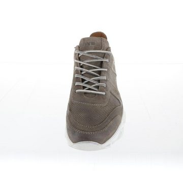 Lloyd Sneaker ACHILL Sneaker