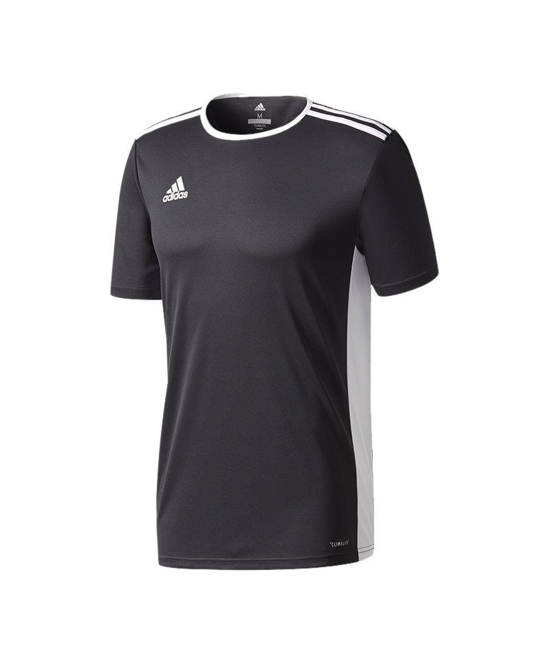 adidas Performance Fußballtrikot Entrada 18 Trikot kurzarm