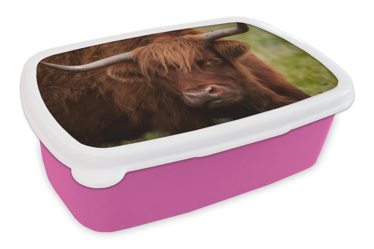 MuchoWow Lunchbox Schottischer Highlander - Orange - Tiere, Kunststoff, (2-tlg), Brotbox für Erwachsene, Brotdose Kinder, Snackbox, Mädchen, Kunststoff rosa