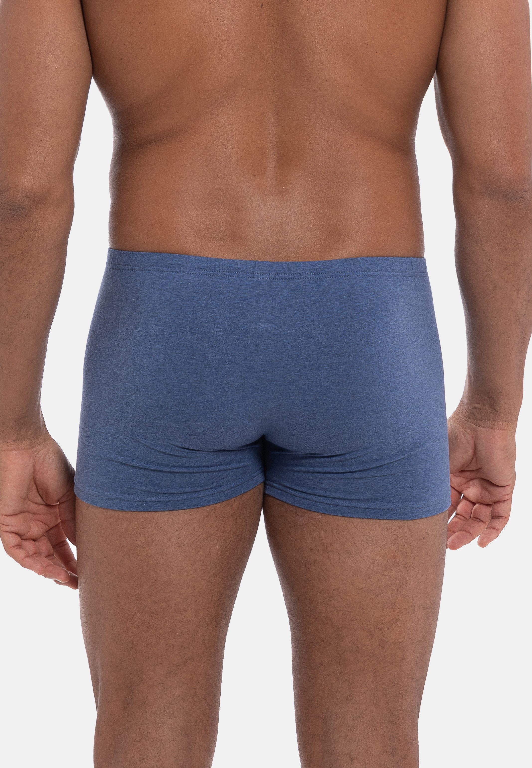 CiTO Retro Boxer Modern Basics - 95/5 (Spar-Set, 4-St) Pants - Baumwolle - ohne Eingriff - Perfekte Passform