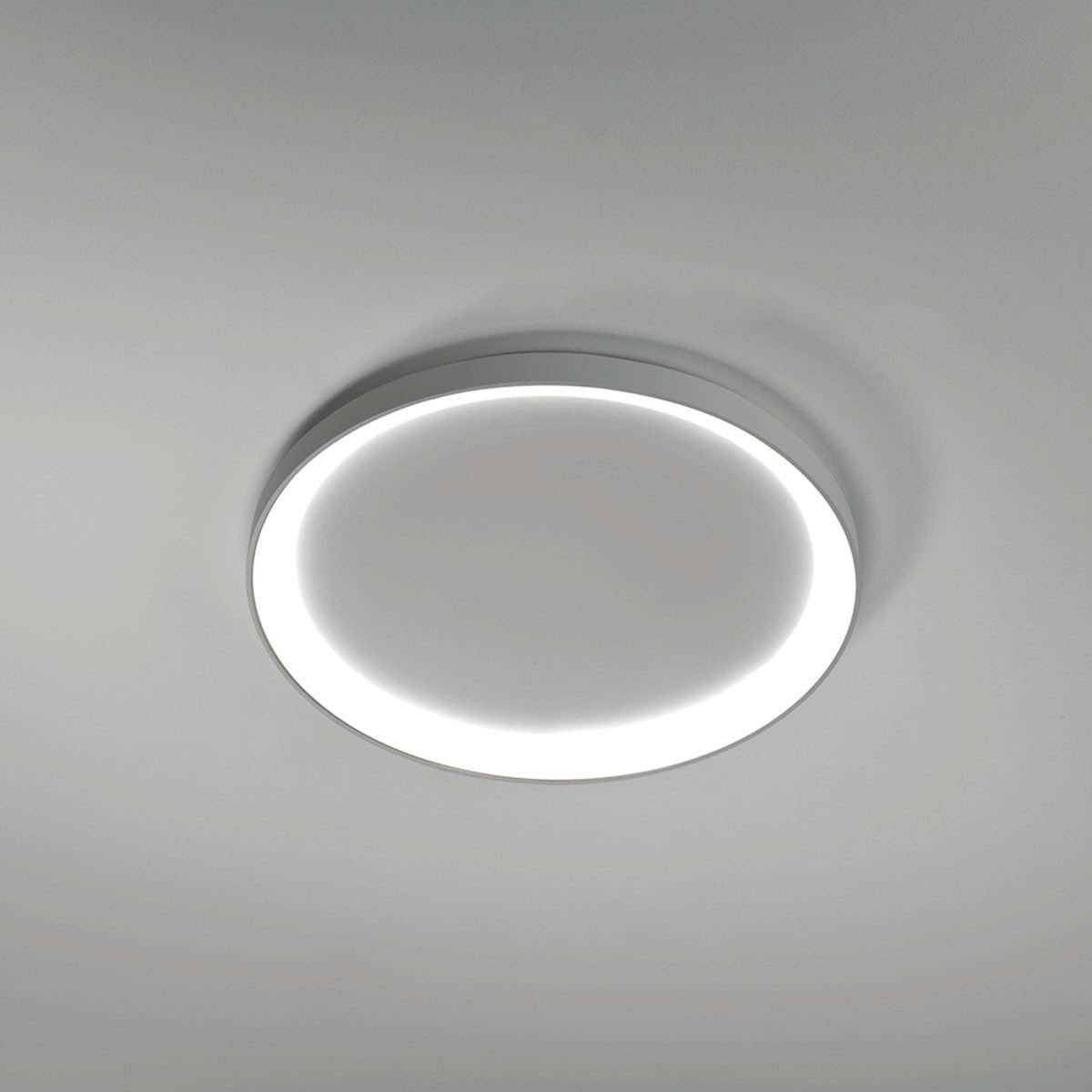 Vivida International Deckenleuchten Lifering-R Deckenleuchte, Titanium, günstig online kaufen