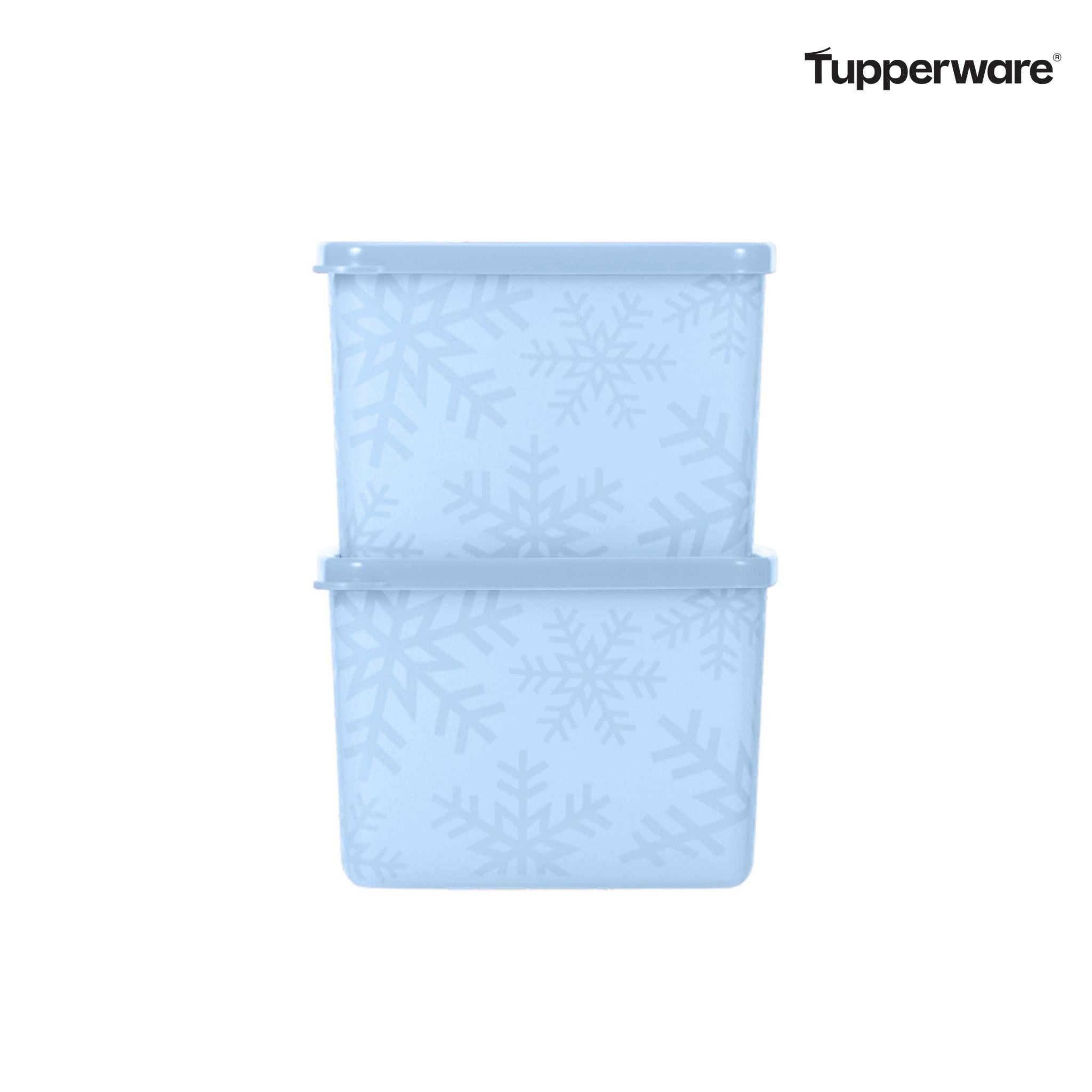 TUPPERWARE Vorratsdose Gefrier-Behälter 800 ml (2)