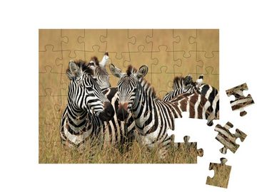 puzzleYOU Puzzle Steppenzebras in der Savanne, Maasai Mara, Kenia, 48 Puzzleteile, puzzleYOU-Kollektionen Zebras, Tiere in Savanne & Wüste