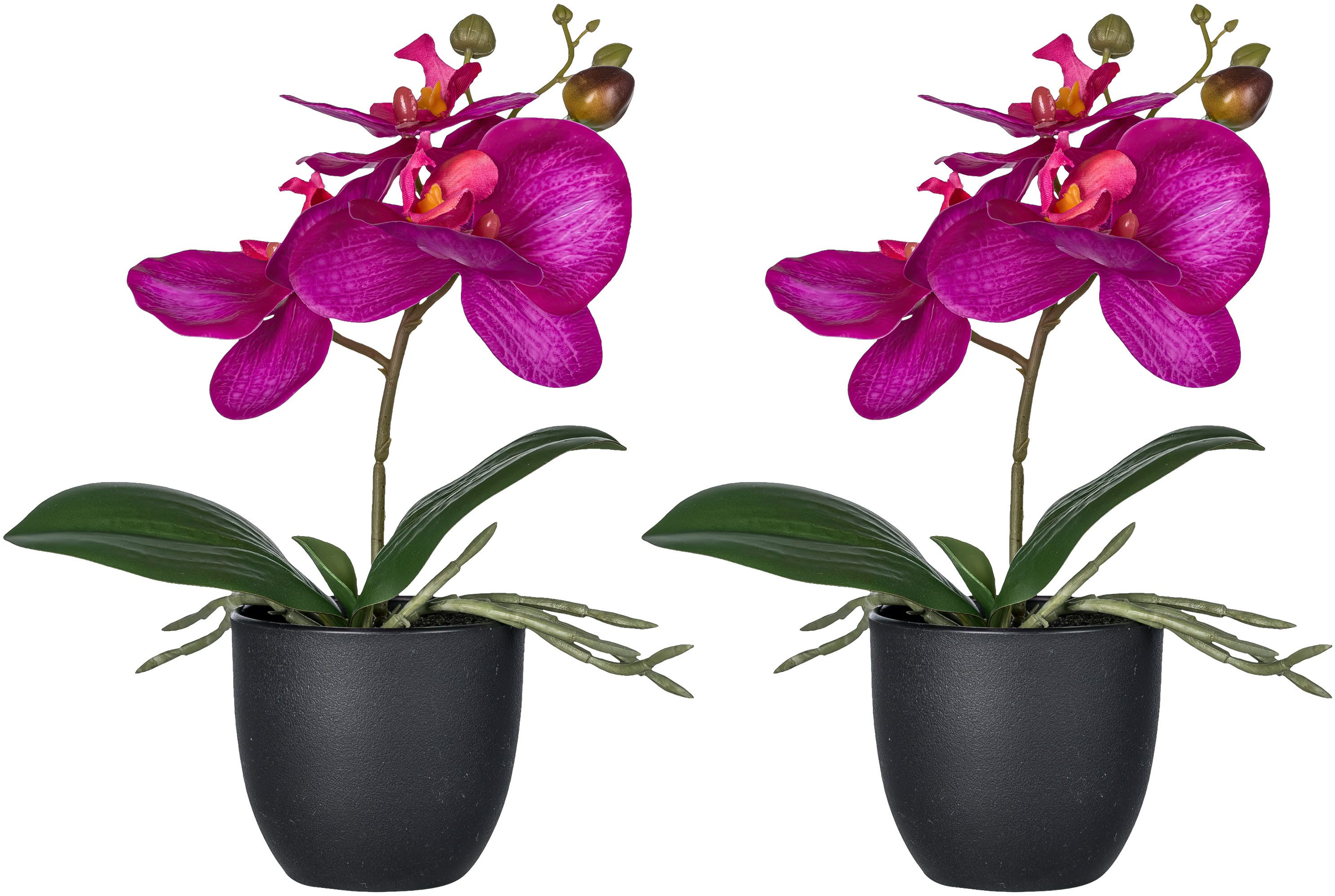 Kunstorchidee Orchidee Phalaenopsis, Creativ green, Höhe 23 cm, mit naturgetreuen Blüten