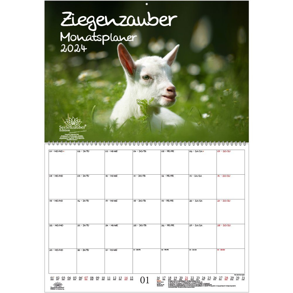 Seelenzauber Wandkalender Ziegenzauber Planer DIN A2 Kalender für 2024  Ziegen und Zicklein -
