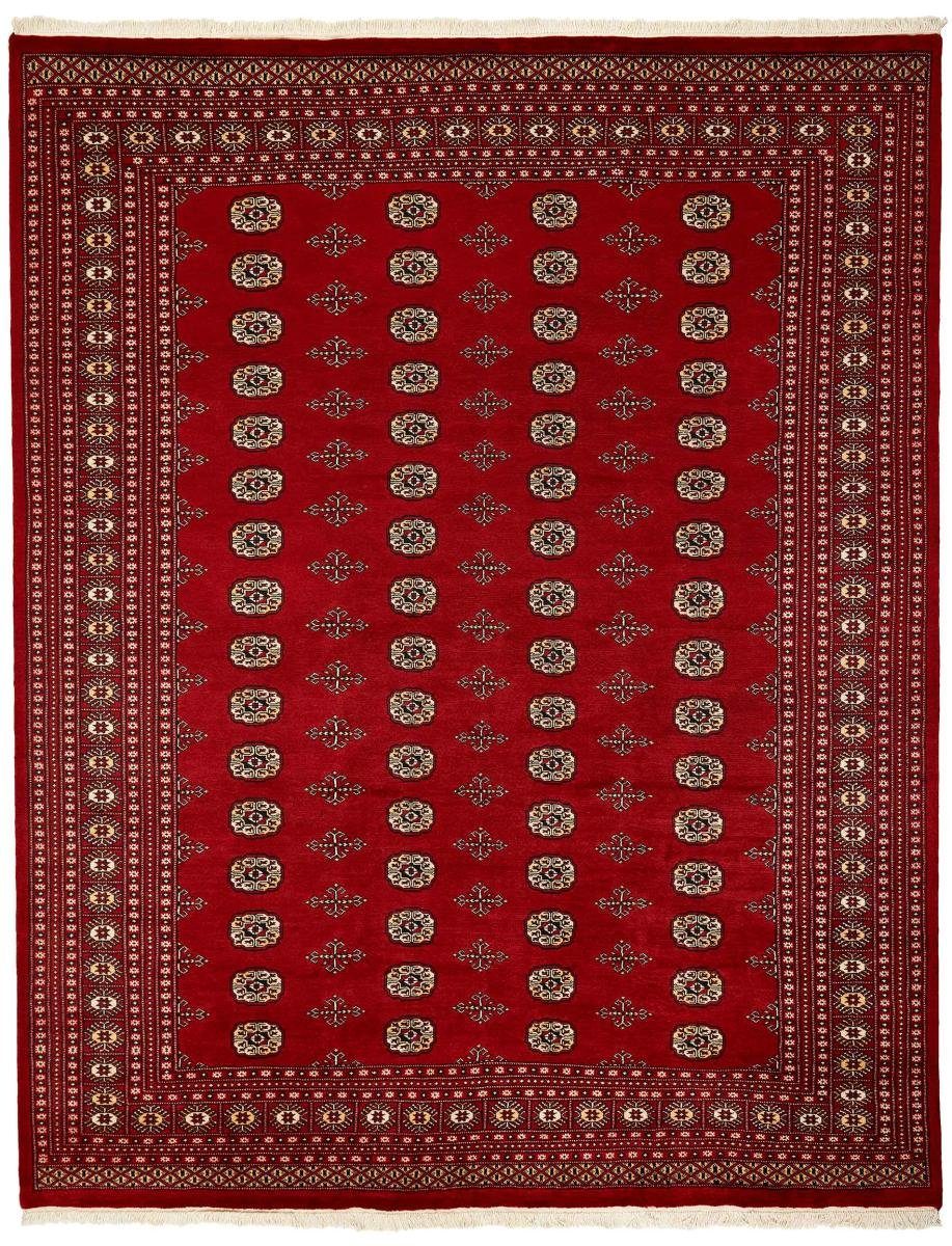 Orientteppich Pakistan Buchara 2ply 246x313 Handgeknüpfter Orientteppich, Nain Trading, rechteckig, Höhe: 8 mm | Kurzflor-Teppiche