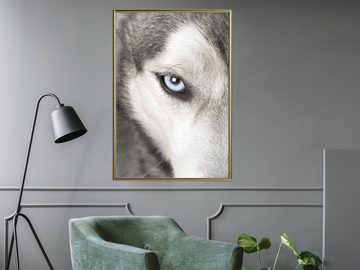 Artgeist Poster Dog's Look []