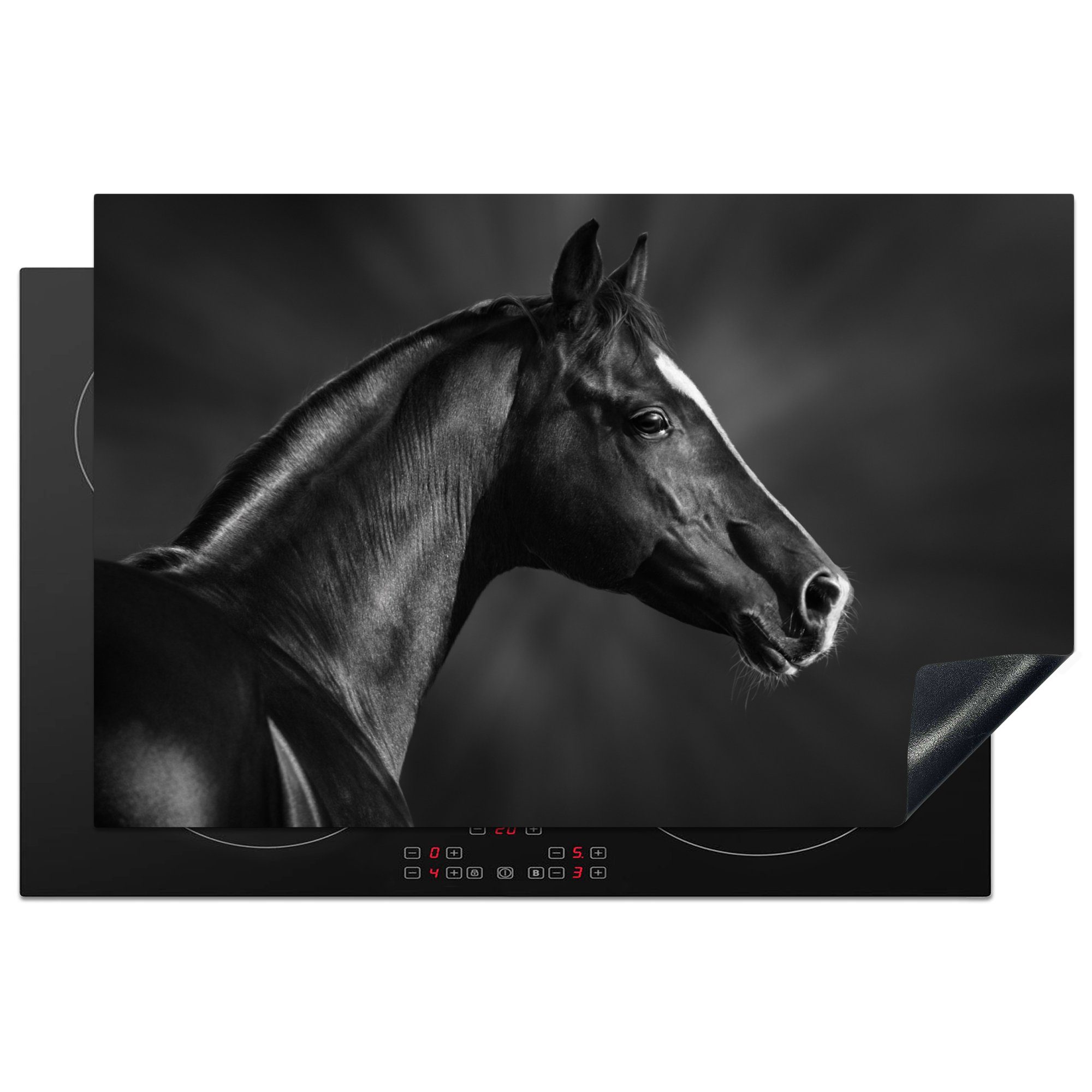 MuchoWow Herdblende-/Abdeckplatte Pferd - Tiere - Schwarz - Weiß - Porträt, Vinyl, (1 tlg), 81x52 cm, Ceranfeldabdeckung, Arbeitsplatte für küche