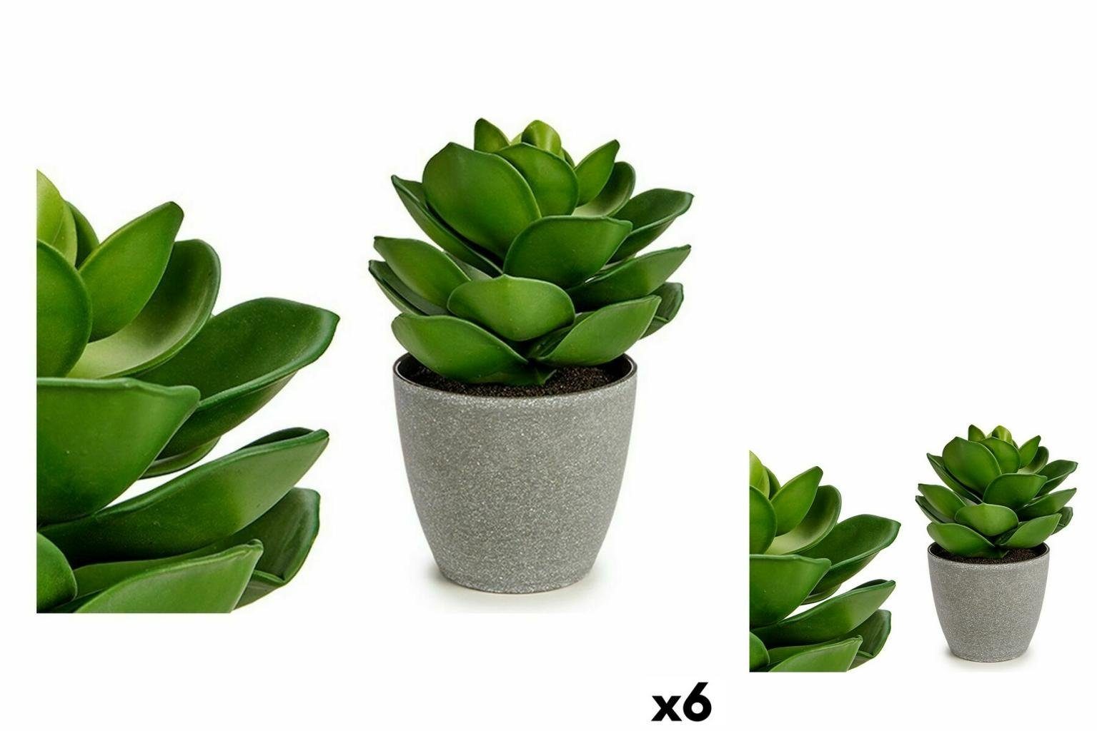 Ibergarden Dekoobjekt 6 Grau cm 16 16 Dekorationspflanze 21 Stück grün x x