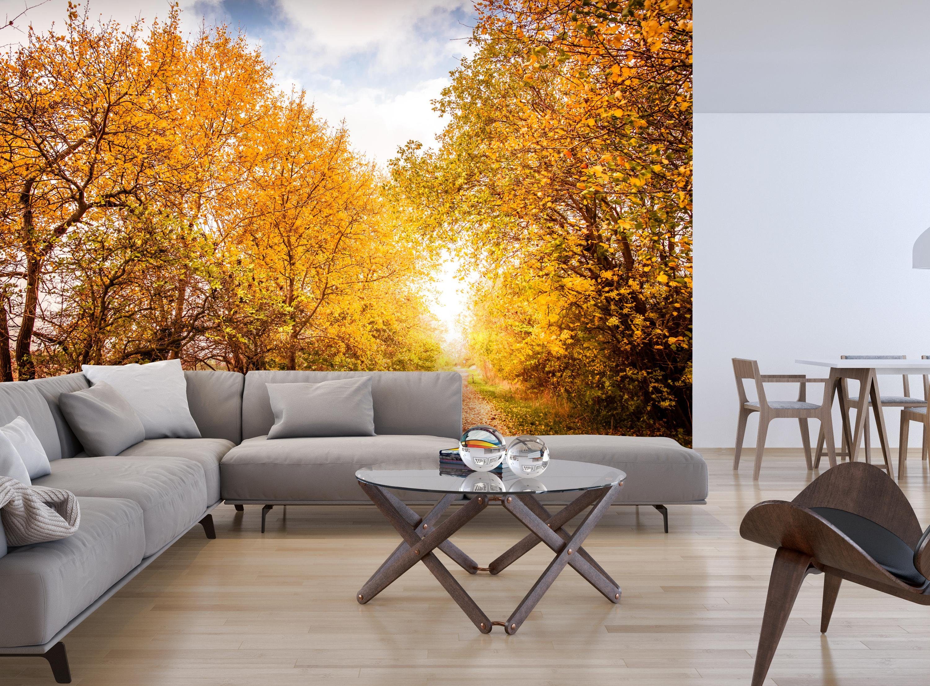 Vliestapete Farben, Motivtapete, Herbstlandschaft wandmotiv24 glatt, matt, warmen Fototapete Wandtapete, in