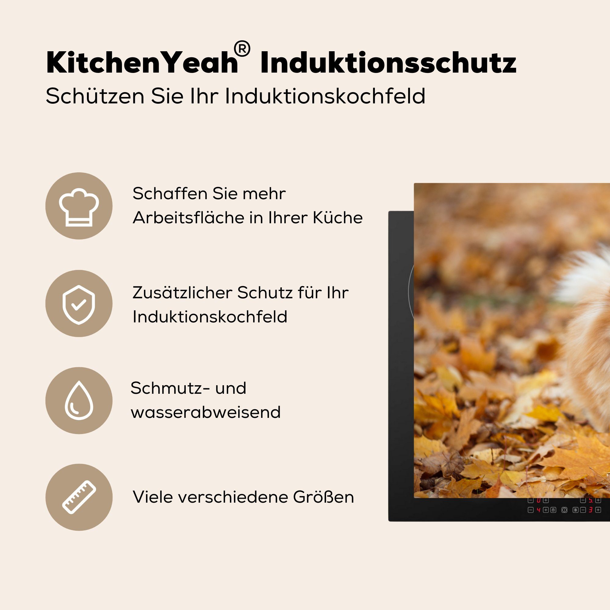 MuchoWow Herdblende-/Abdeckplatte Pomeranian im Schutz Vinyl, Herbst, küche, Induktionskochfeld (1 für Ceranfeldabdeckung cm, 81x52 die tlg)