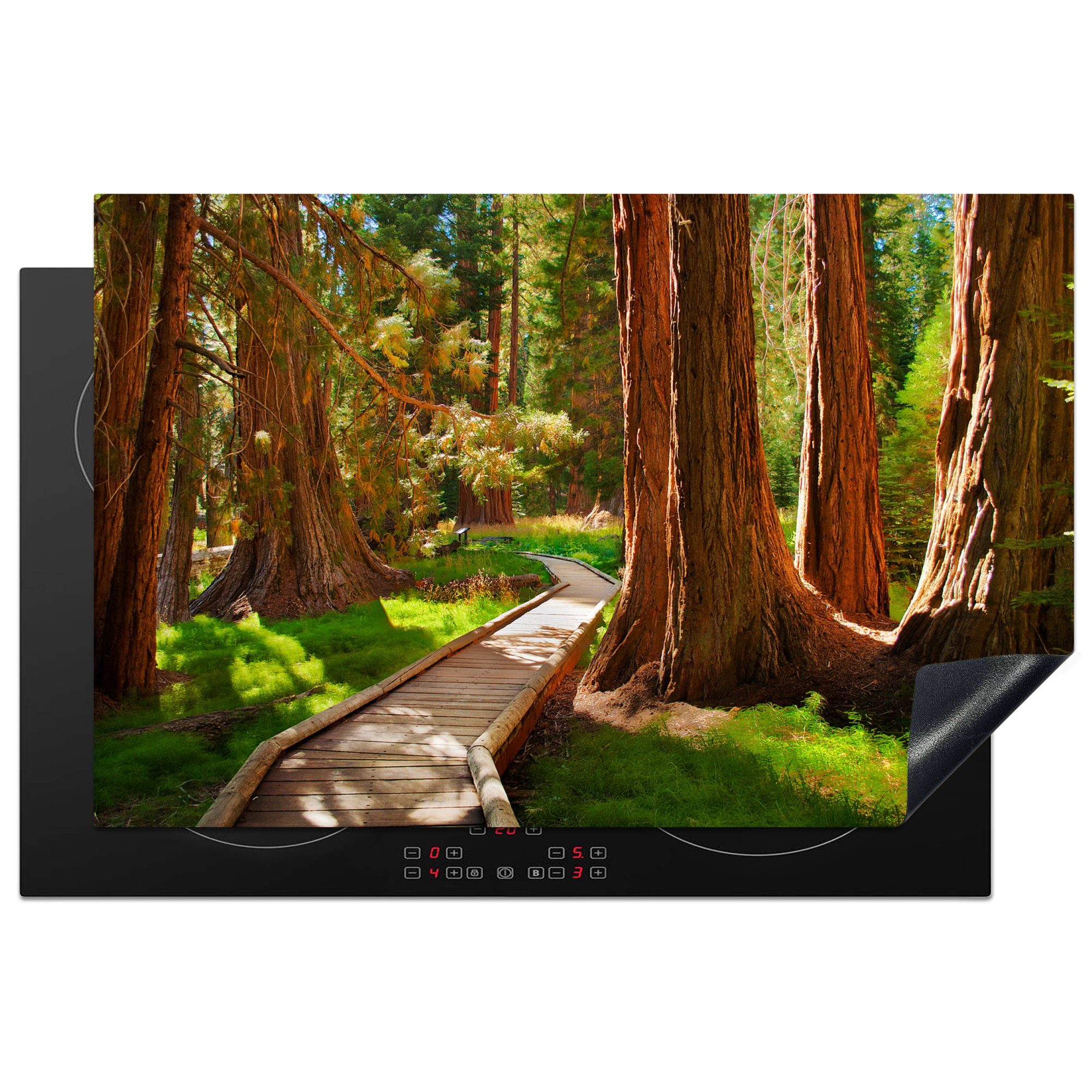 MuchoWow Herdblende-/Abdeckplatte Hölzerner Pfad durch den Sequoia National Park in Kalifornien, Vinyl, (1 tlg), 81x52 cm, Induktionskochfeld Schutz für die küche, Ceranfeldabdeckung