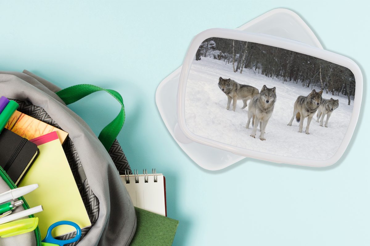 Wolf Schnee für Kinder Brotbox - und Brotdose, Erwachsene, - MuchoWow weiß Jungs Lunchbox Kanada, (2-tlg), Kunststoff, und für Mädchen