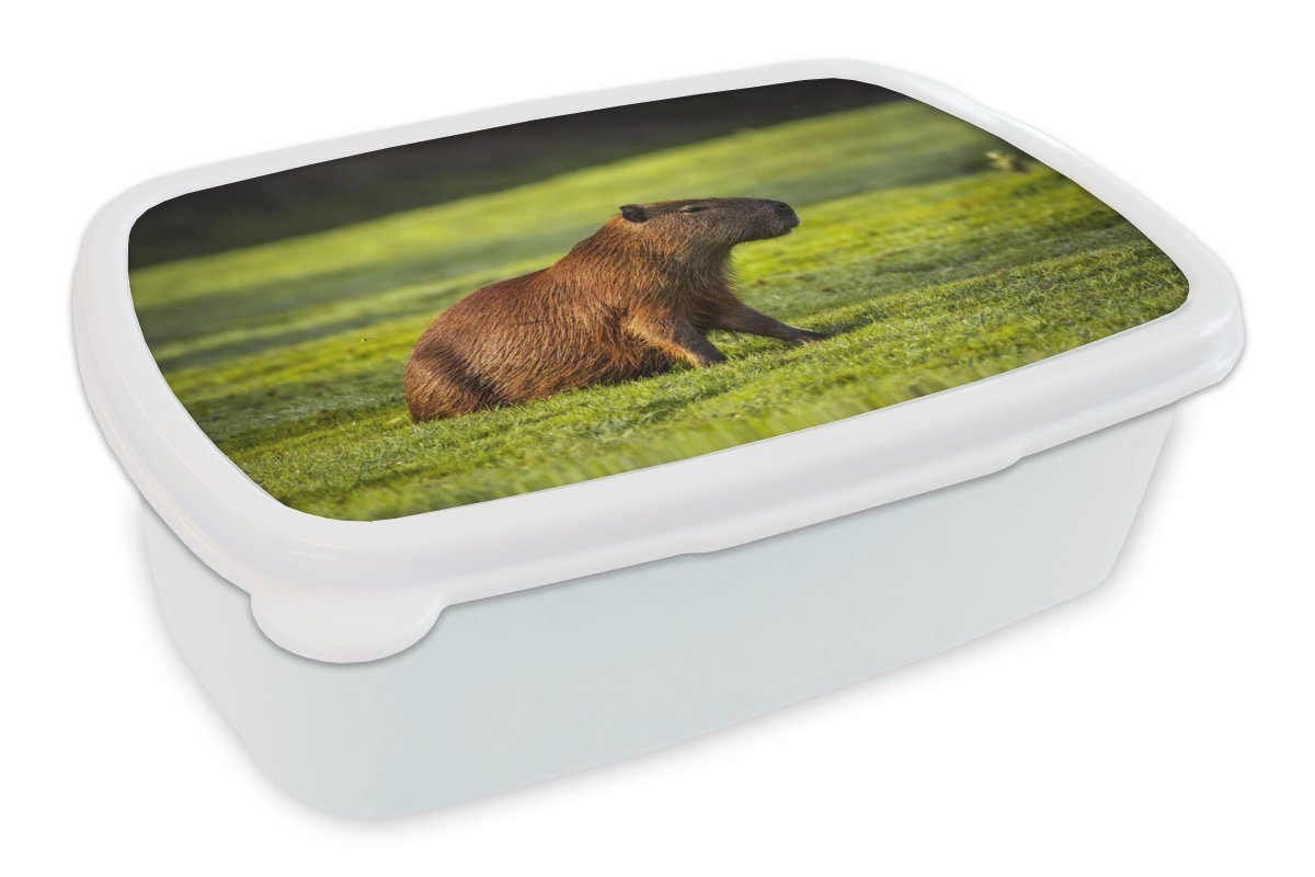 MuchoWow Lunchbox Goldene Sonnenstrahlen über dem Capybara, Kunststoff, (2-tlg), Brotbox für Kinder und Erwachsene, Brotdose, für Jungs und Mädchen weiß