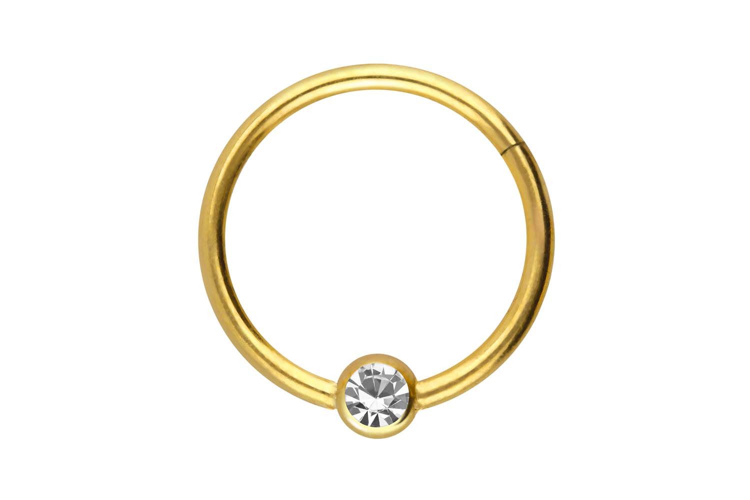 PIERCINGLINE Nasenpiercing Titan Segmentring Clicker KRISTALL Ohrpiercing S günstig online kaufen