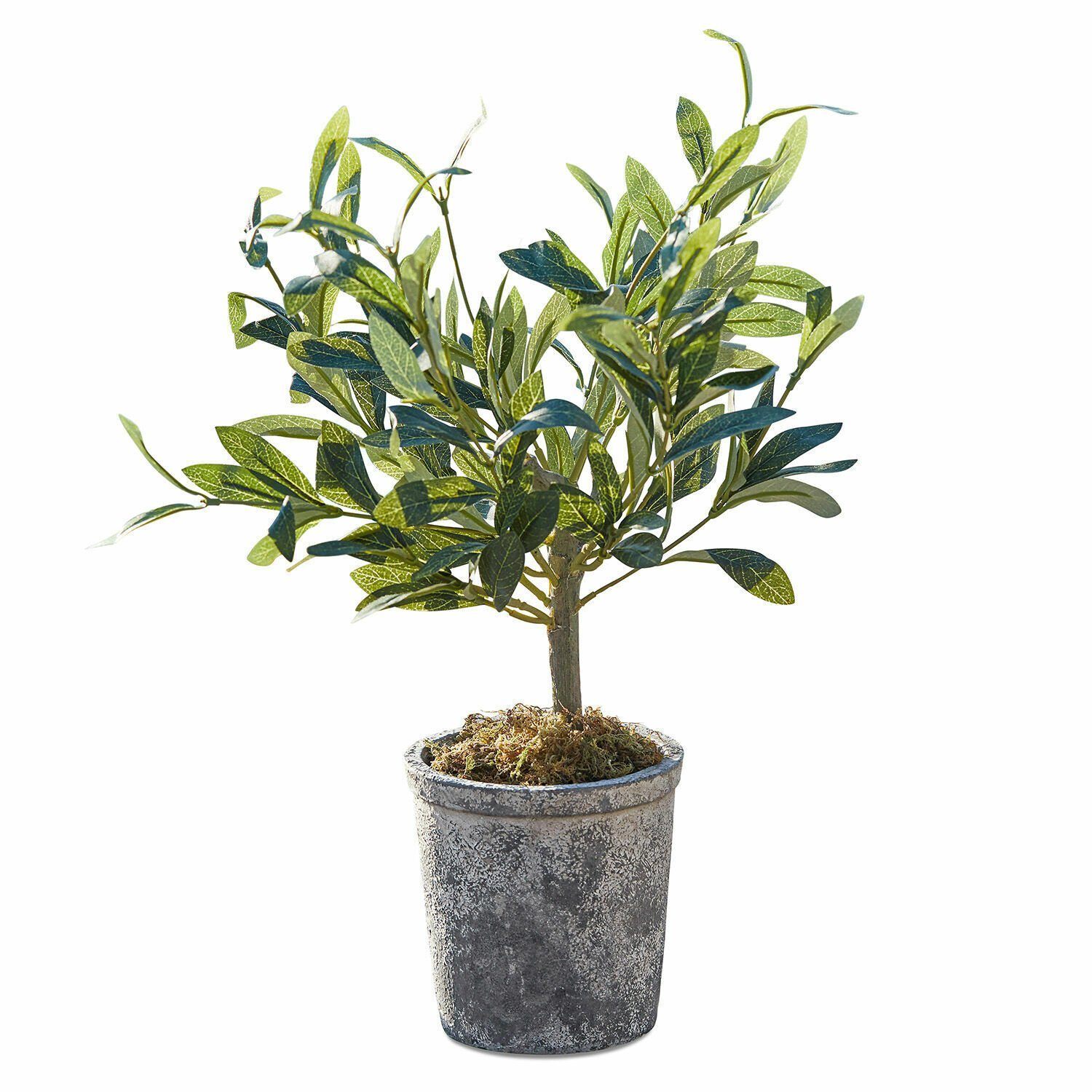 Kunstblume Deko-Topfpflanze Mariuccia grün, Mirabeau, Höhe 45.0 cm