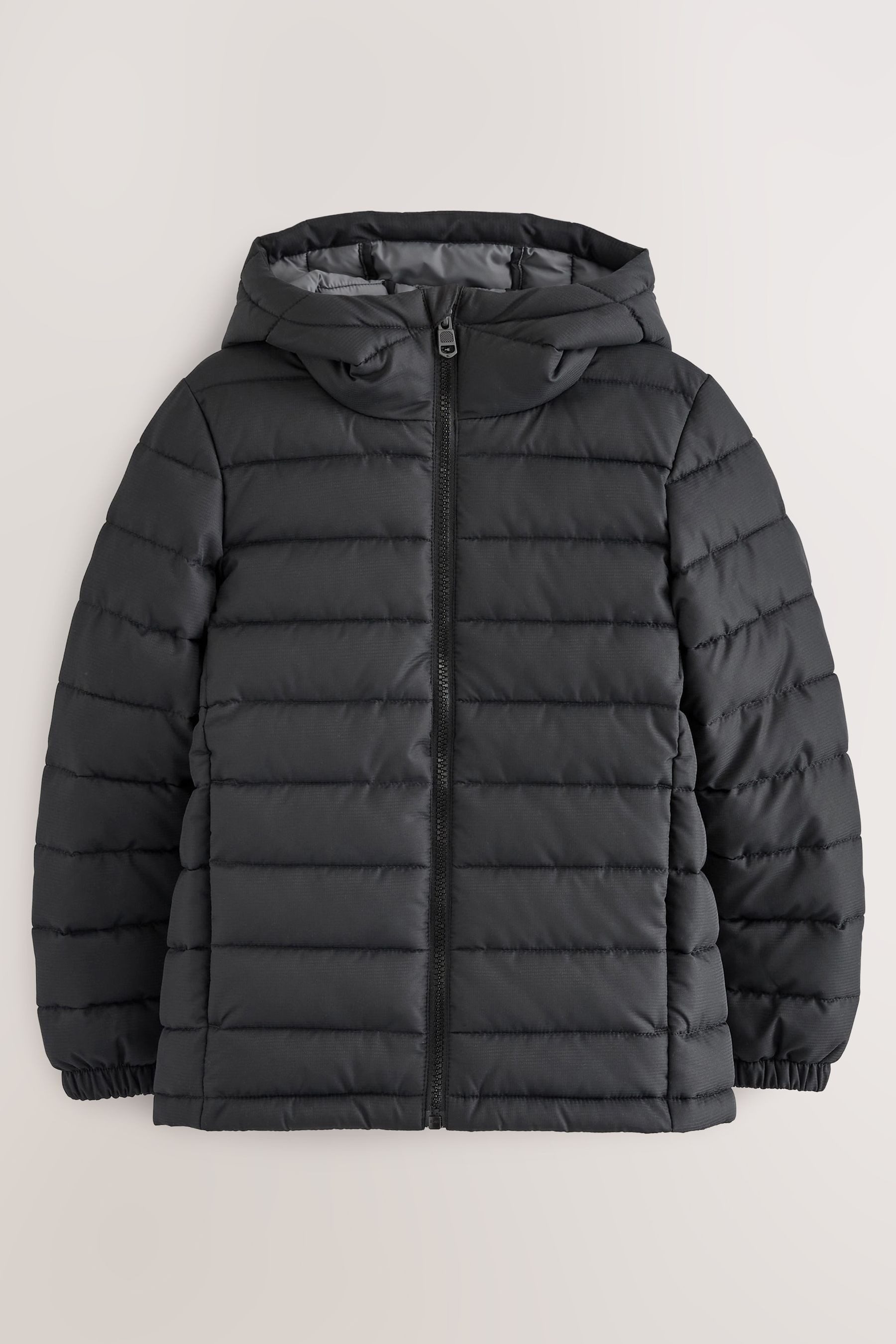Steppjacke Gesteppte, mittelschwere Kapuzenjacke