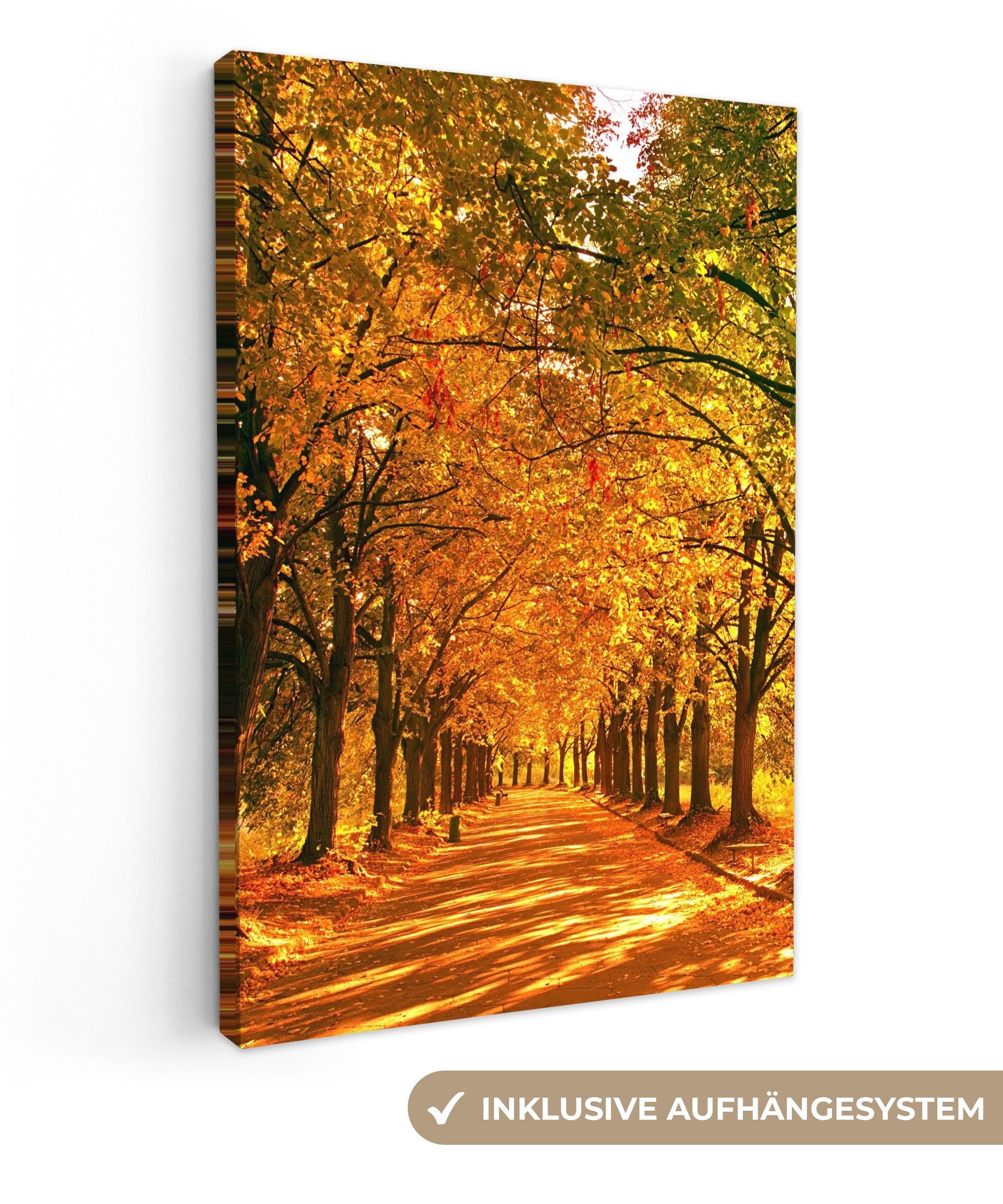 OneMillionCanvasses® Leinwandbild Wald - Herbst - Jahreszeiten - Ländlich, günstig online kaufen
