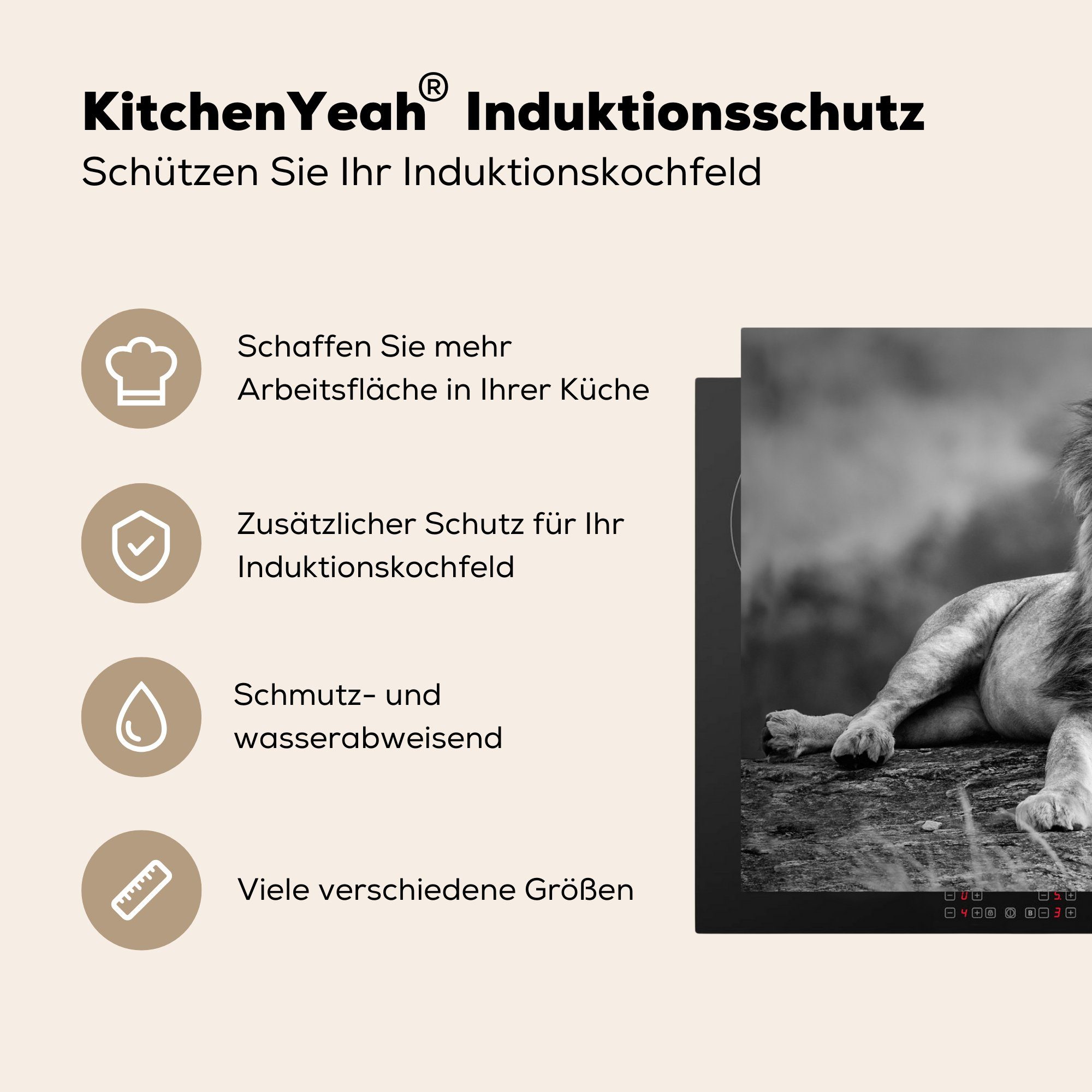 küche, Wild - - die Weiß, Löwen cm, Schutz - für Induktionskochfeld Schwarz Ceranfeldabdeckung (1 Vinyl, Herdblende-/Abdeckplatte 81x52 tlg), MuchoWow