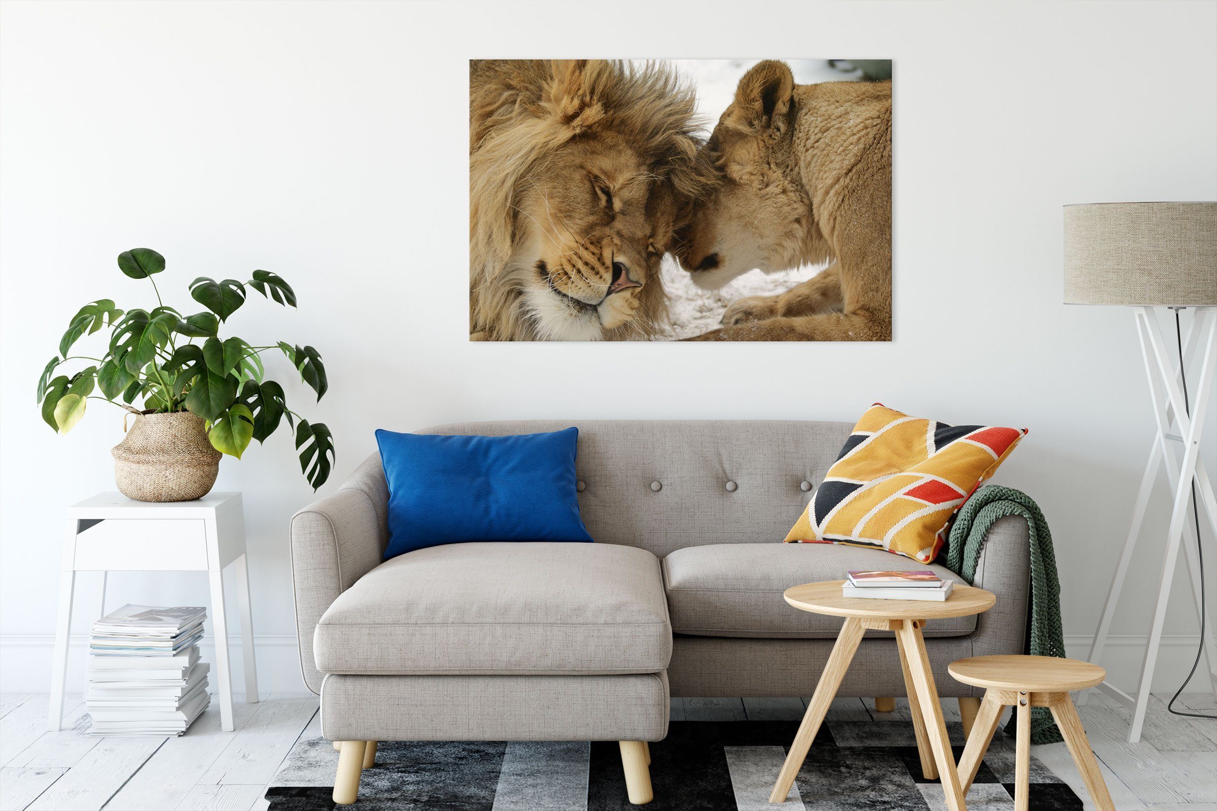 Pixxprint Leinwandbild Kuschelnde Löwen, Kuschelnde Löwen günstig online kaufen