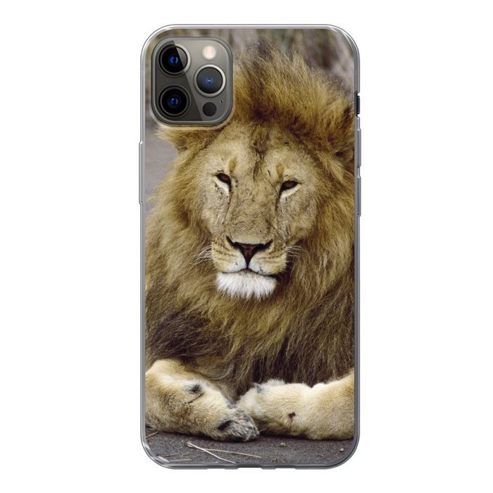 MuchoWow Handyhülle Löwe - Afrika - Tier Handyhülle Apple iPhone 12 Pro Max Smartphone-Bumper Print Handy