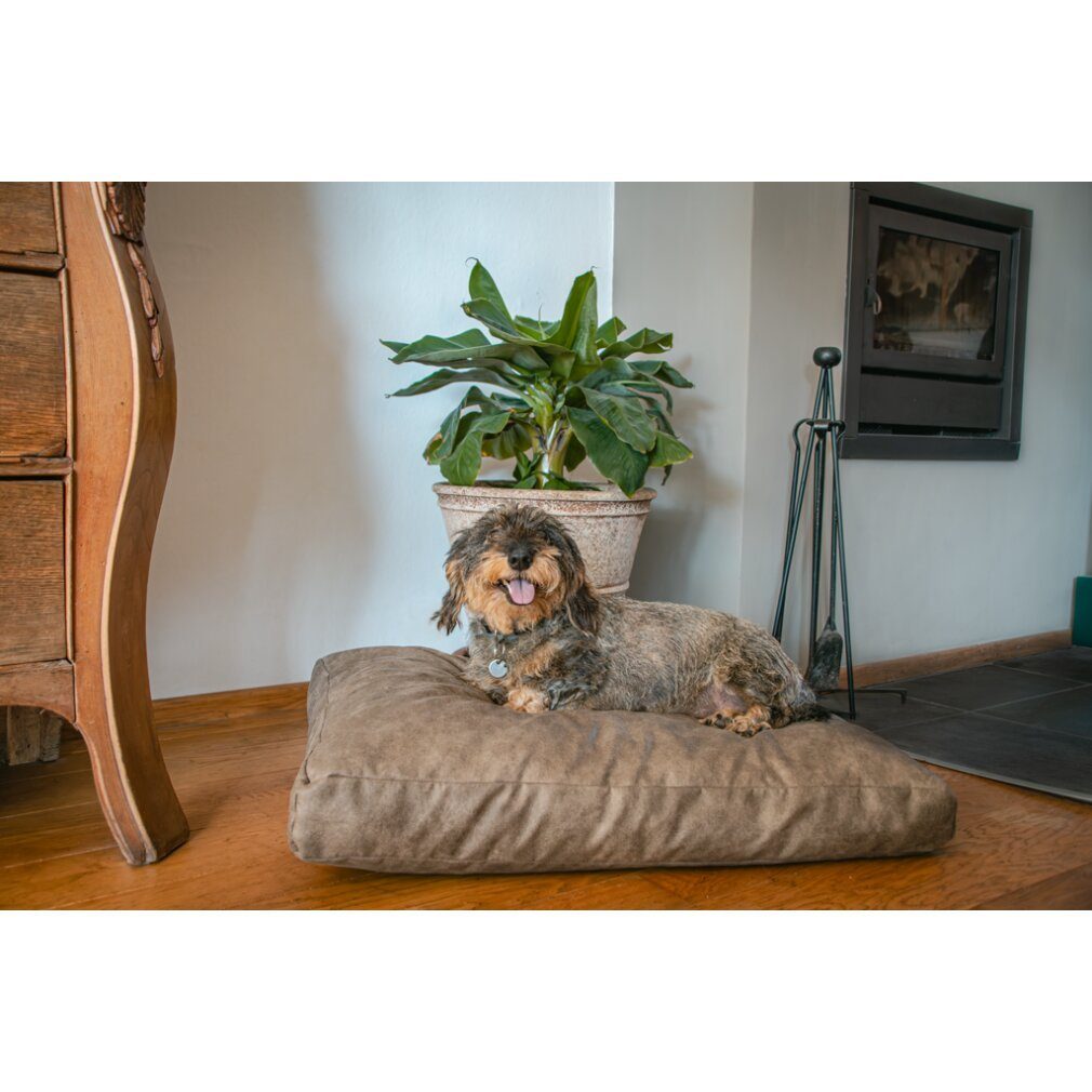 Holland Animal Care Tierkissen Let's Sleep Plush Pillow Hundebett XL Cognac