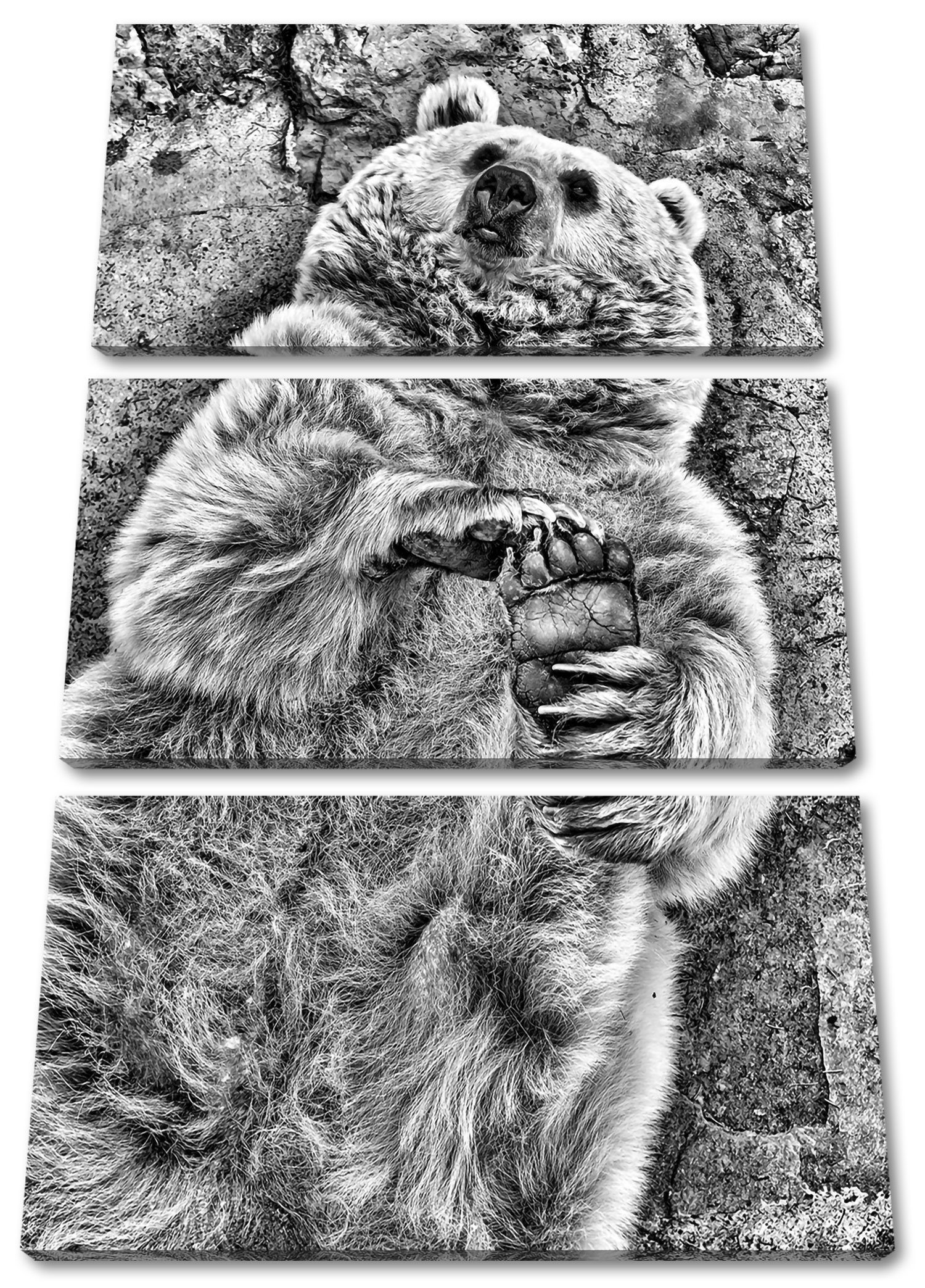 Pixxprint Leinwandbild verspielter Grizzlybär, verspielter Grizzlybär 3Teiler (120x80cm) (1 St), Leinwandbild fertig bespannt, inkl. Zackenaufhänger