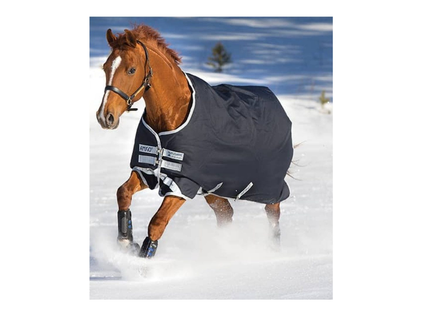 Horseware Ausreitdecke Outdoordecke Amigo Bravo 12 150g in navy/silver