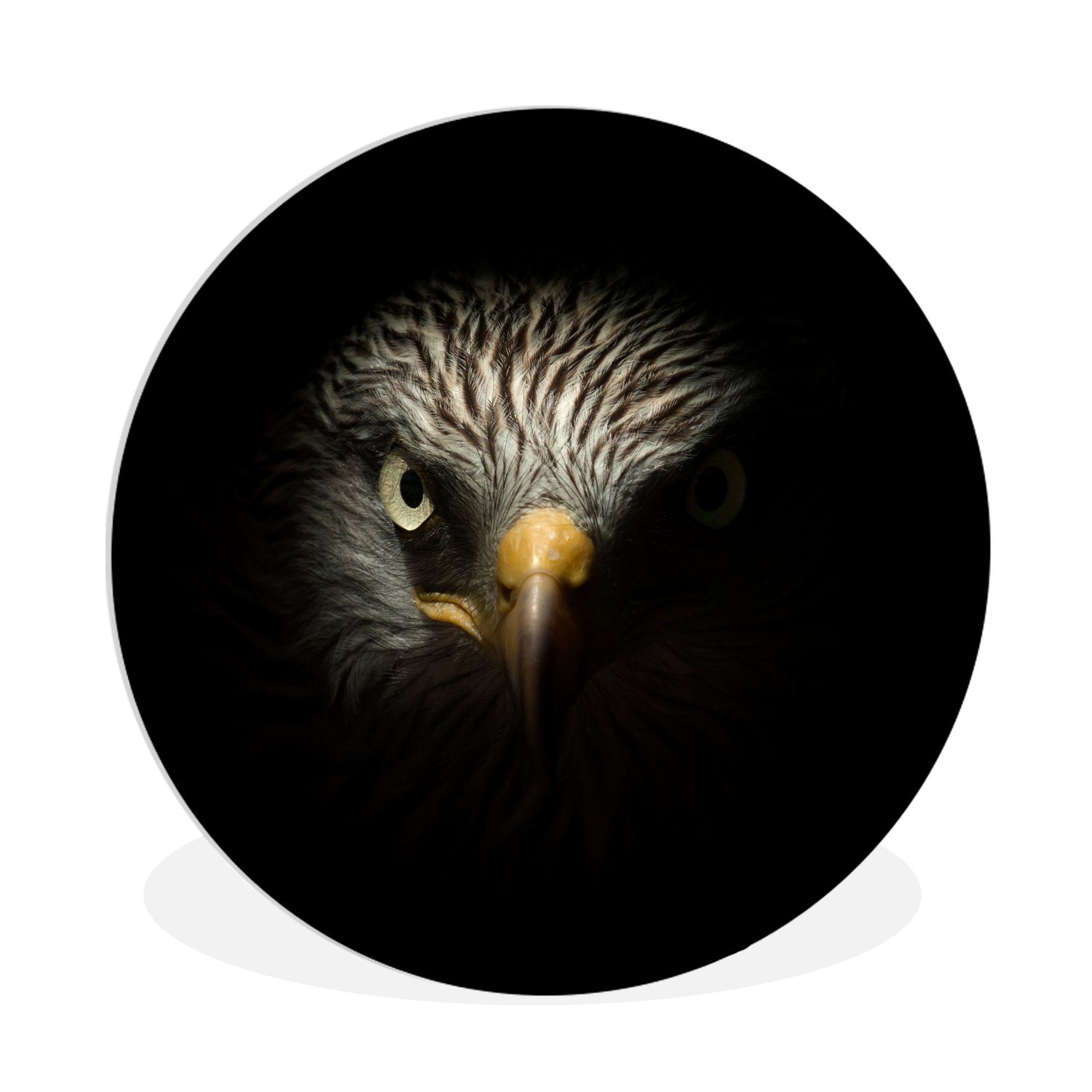 MuchoWow Gemälde Vogel - Adler - Raubvögel - Auge - Schnabel - Licht, (1 St), Kreis Wanddekoration Forex, Rundes Wandbild, Wohnzimmer, 30x30 cm
