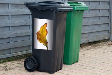MuchoWow Wandsticker Gelb-orangefarbene Calla-Blume auf weißem Hintergrund (1 St), Mülleimer-aufkleber, Mülltonne, Sticker, Container, Abfalbehälter