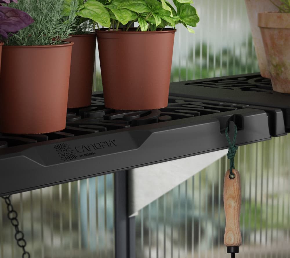 Palram - Canopia Gewächshaus, x 17  | R...