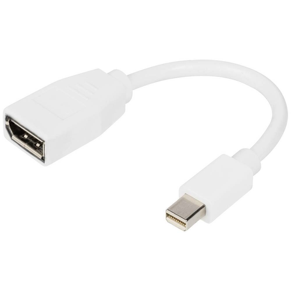 DisplayPort Adapterkabel, mini DP - DP St/Bu, HDMI-Kabel