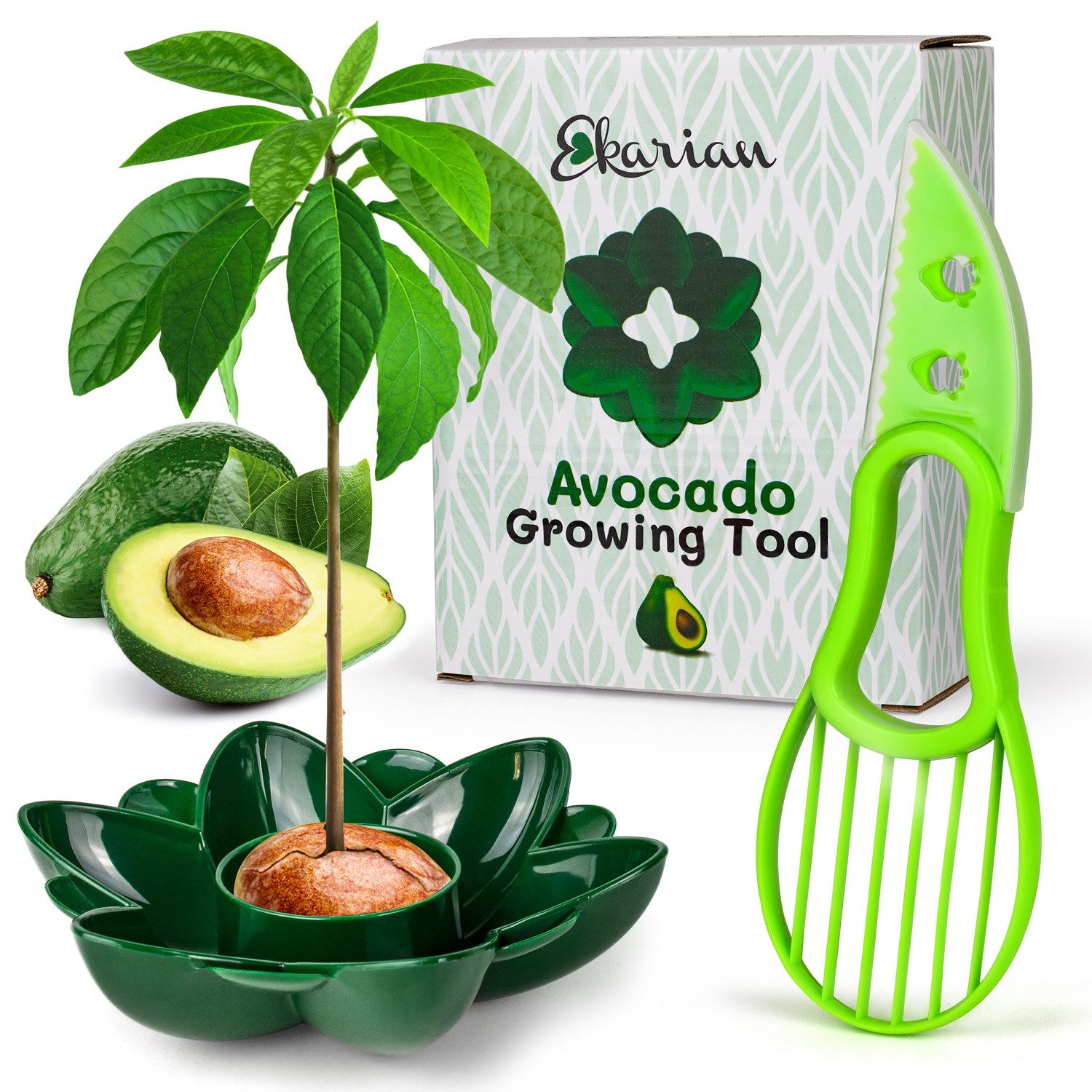 Ekarian Anzuchtdeckel Avocadobaum Tool zum selber Pflanzen und Züchten, Geschenke für Frauen (2 St), rund