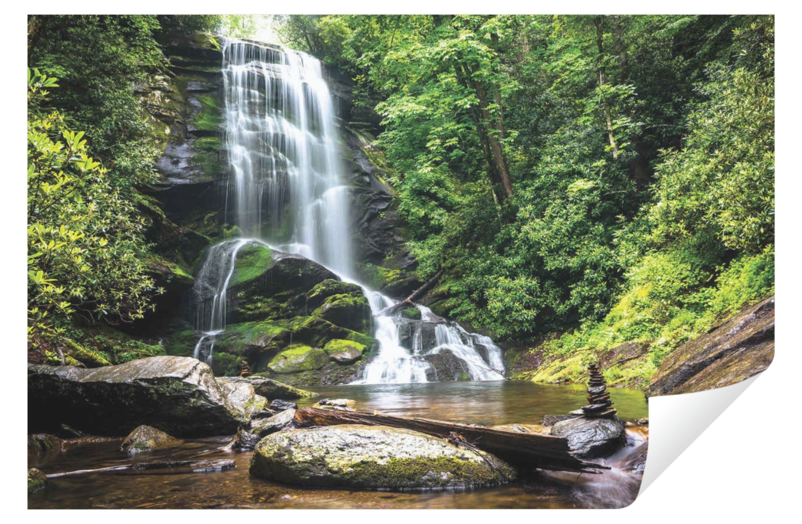 Wallarena Fototapete Wasserfall Wald Natur Vlies günstig online kaufen
