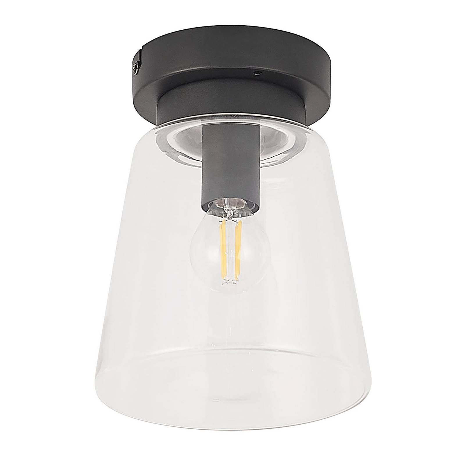 Lindby Deckenleuchten Carmalin, Metall, Schwarz IP44, 1 x 10 W LED