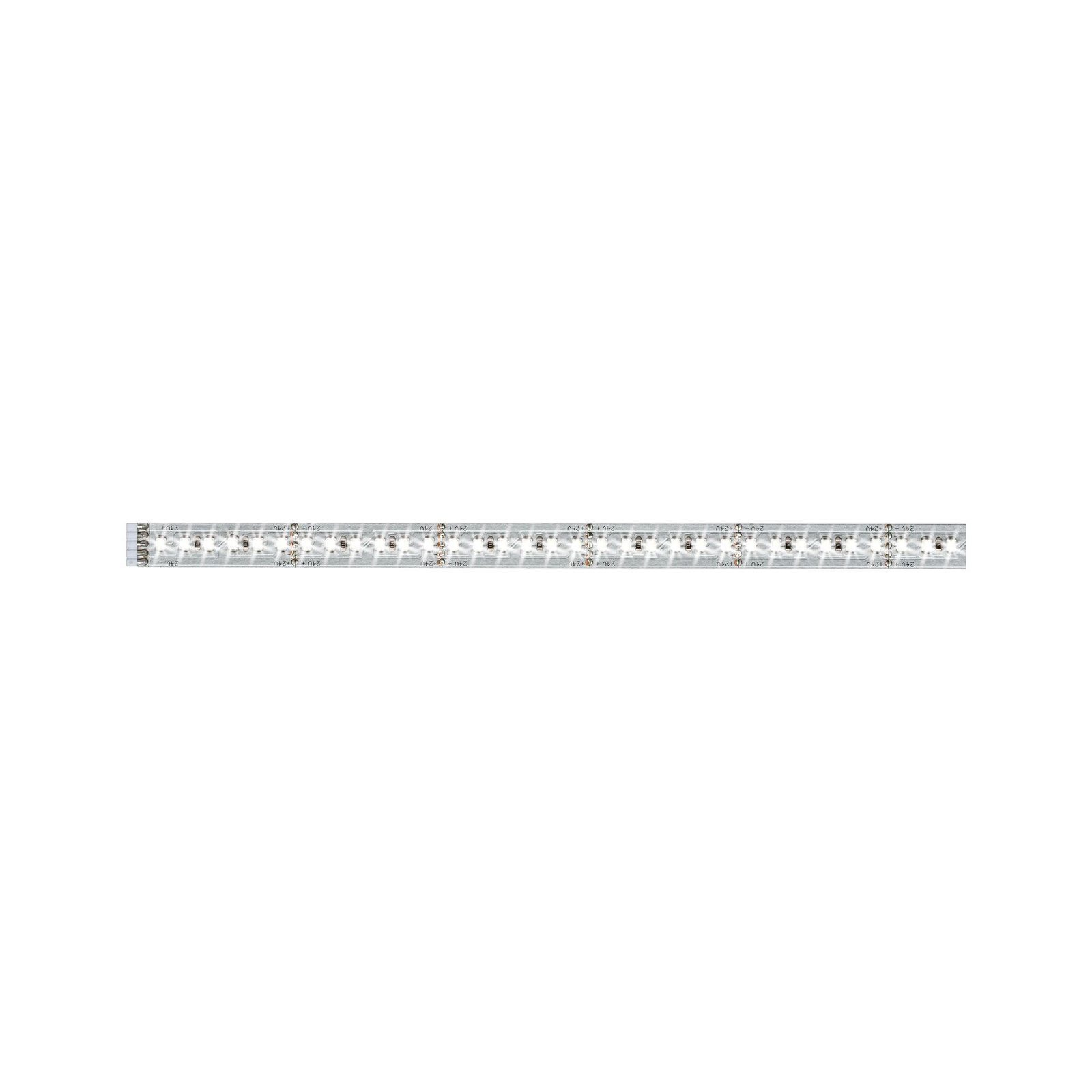Paulmann LED-Streifen MaxLED 1000 Stripe 1m Daylight IP20 6500K 11,5W 24V Silber, 1-flammig