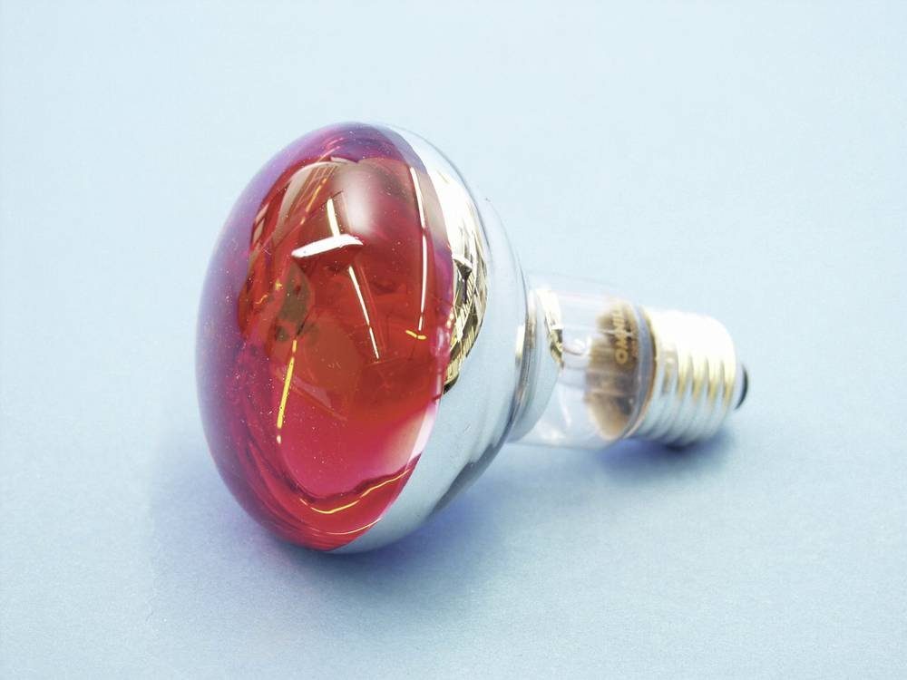 EUROLITE LED-Leuchtmittel Eurolite 9210360U Halogen E27 Reflektor 60 W Rot günstig online kaufen