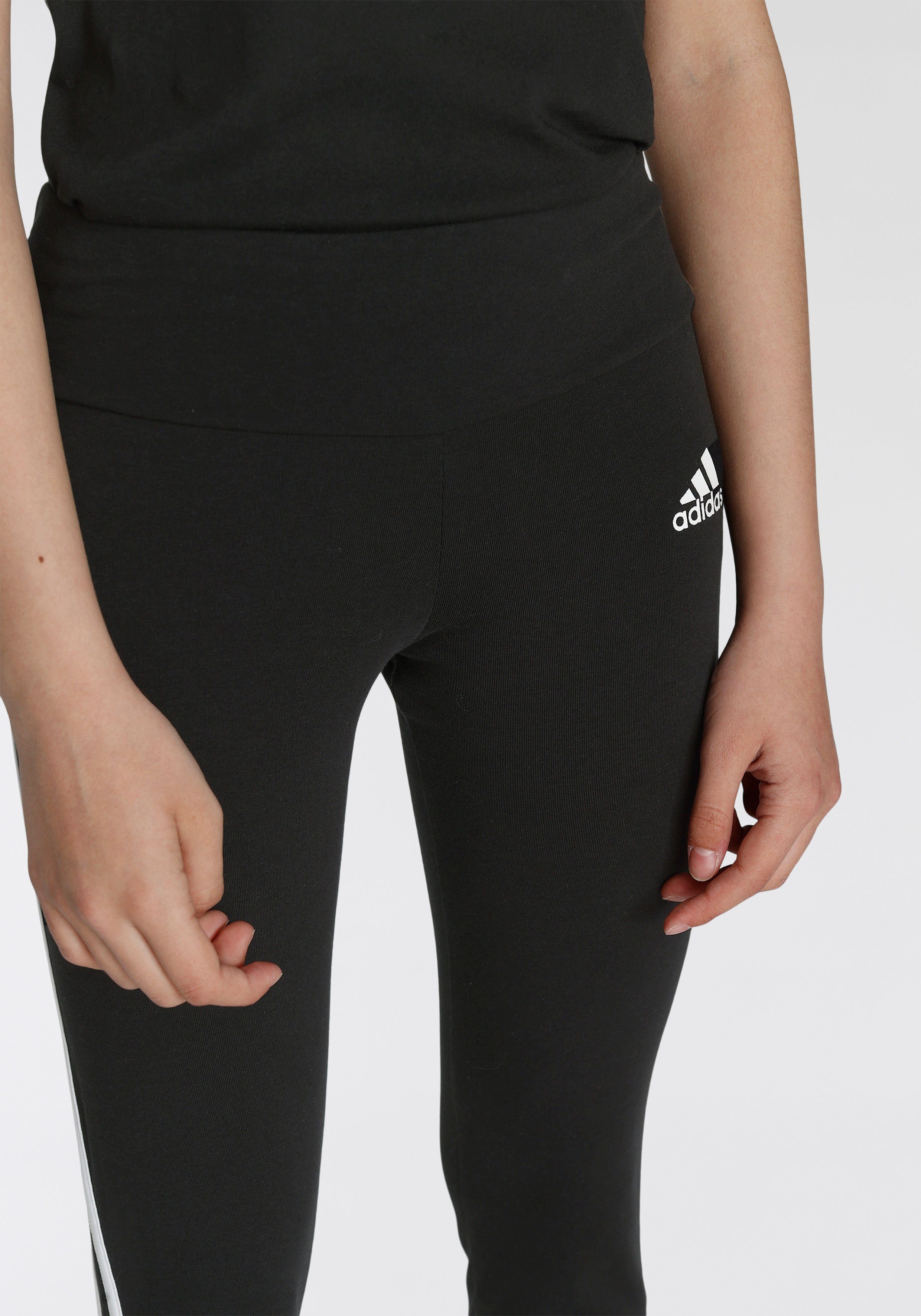 adidas Sportswear Leggings 3-STREIFEN (1-tlg) TIGHT COTTON