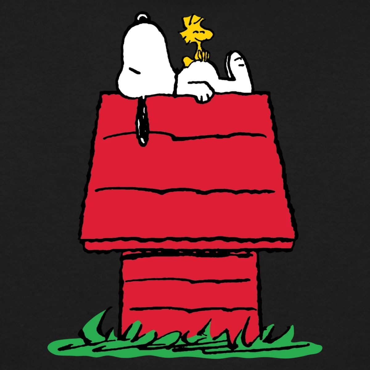 Spreadshirt Hoodie Peanuts Snoopy Und Die Hundehütte Teenager Hoodie (1-tlg)