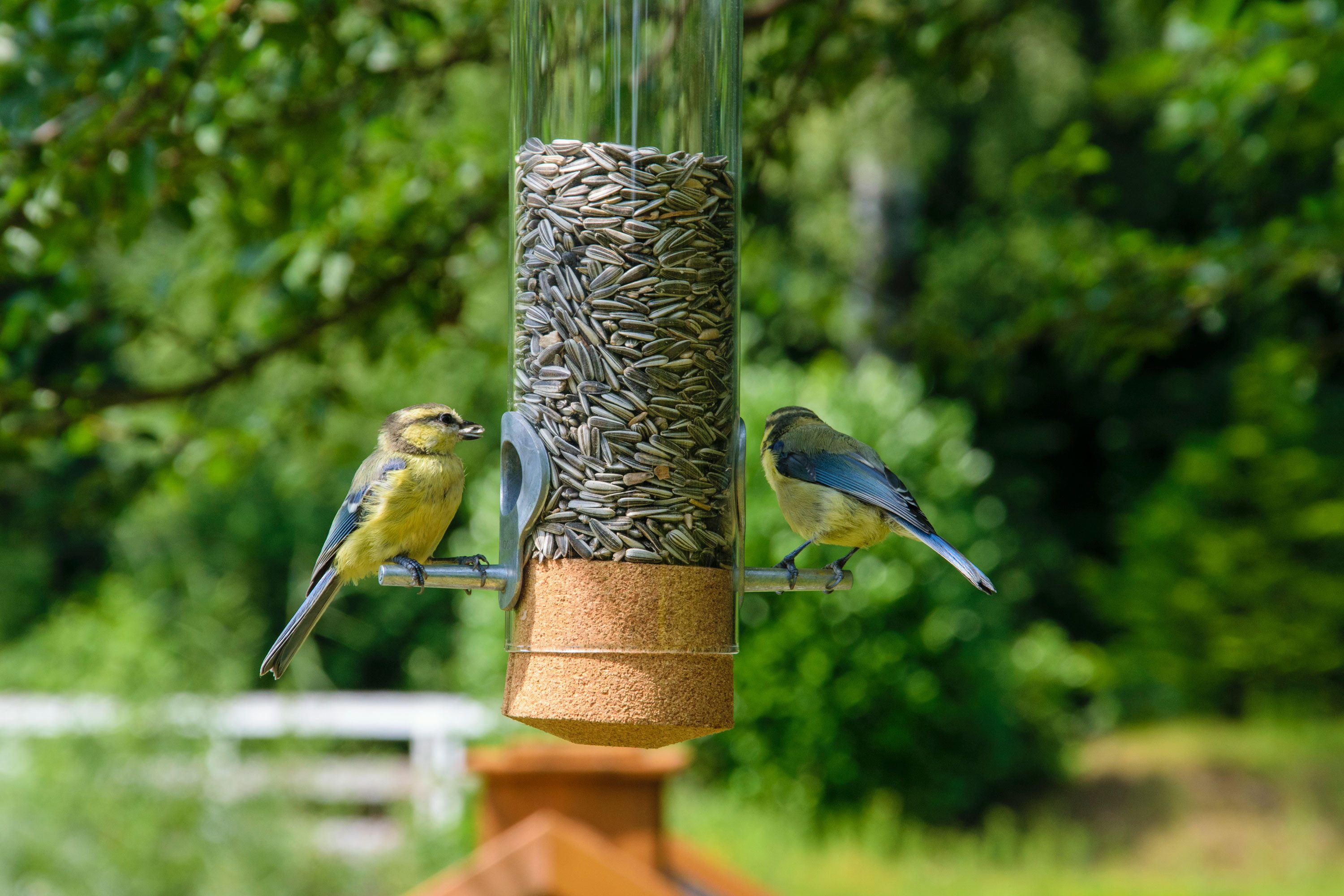 dobar Futterhaus Premium Futtersäule Glas-Pickbar