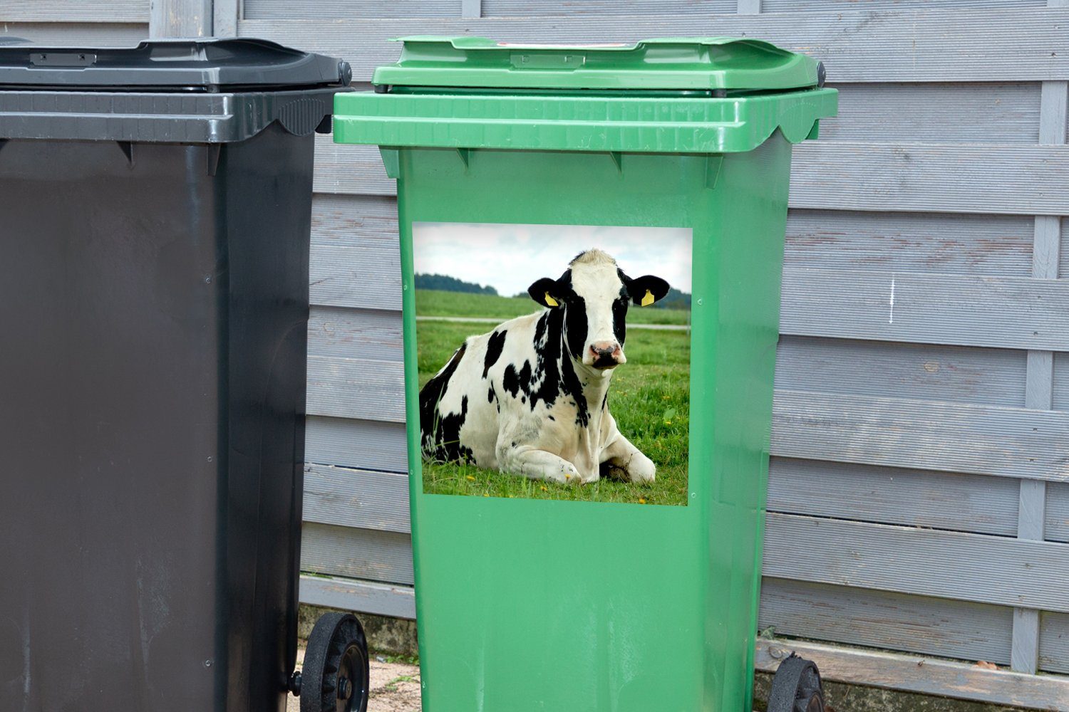- Sticker, Abfalbehälter - Kuh (1 Mülleimer-aufkleber, MuchoWow Wandsticker Container, Friesland Mülltonne, Tier St),